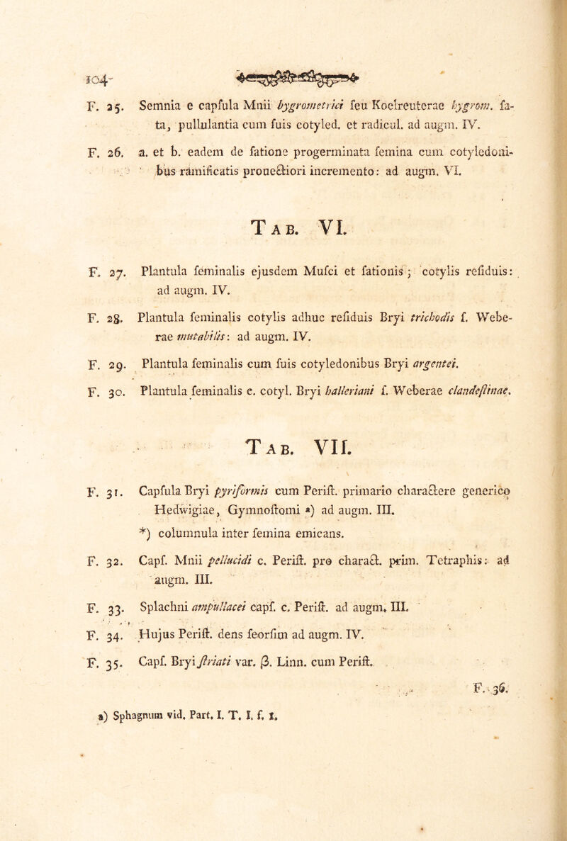 F. 35. Semnia e capfula Mnii bygrometrici feu Koelreuterae hygnm. fa- ta^ pullulantia cum fuis cotyled et radicul. ad augm. IV. F. 26. a. et b. eadem de fatione progerminata femina cum cotyledoni- ■ ■ ius ramificatis proueftiori incremento: ad augm. VI. Tab. VI. F* 27. Plantula feminalis ejusdem Mufci et fatioiiis ; cotylis refiduis: ad augm. IV. F. 28. Plantula feminalis cotylis adhuc refiduis Bryi trichodls f. Webe- rae wutabilh: ad augm. IV. F. 29. Plantula feminalis cum fuis cotyledonibus Bryi argentei. « f F. 30. Plantula feminalis e. cotyl. Bryi hallcriani L Weberae clandeflinae. Tab. Vir. F. 31. Capfula Bryi pyriformis cum Perill. primario chara&ere generico Hedwigiae, Gymnoflomi «) ad augm. III, *) columnula inter femina emicans. F. 32. Capf. Mnii pellucidi c. Perifl. pro charaft. prim. Tetraphis;^ ad i augm. IIL ' / F. 33. S^\?ichm ampullacei c,'^ex\Si. ad augm» IIL F. 34. Hujus Periii. dens feorfitn ad augm. IV. F. 35* Capf. ^vyi Jiriati var. (i. Linn. cum Perift. a) Sphagnum vid. Part» I, T. l L I.