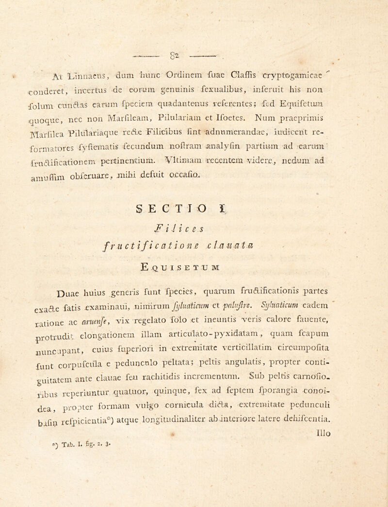 \ At Liniiaciis, dum hunc Ordinem fuae Ciaffis rryptogamicae  conderet, incertus de eorum genuinis fexualibus, inferuit his non folum eundas earum fpeciem quadantenus referentes; fed Equifetum quoque, nec non Marfdeam, Pilulariain et Ifoetes. Num praeprimis IVIariilea Pilulariaque rede Eilicibus hnt adnumerandae, indicent re- formatores fyftematis fecundum nofiram .analyfin partium ad earum trudificationem pertinentium. Vltimam recentem yidere, nedum ad amuffim obleruare, iiiihi defuit occabo. SECTIO l F i l i c e.s I fructificatione clinata E Q U I s E T U M Duae huius generis funt 'fpecies, quarum frueftificationis partes exadle fatis examinaui, niniirum fluatiaim et palifre. Sytmticum eadem ratione ac amenje, vix-regelato folo «t ineuntis veris calore faiiente, protrudit elongationem illam articulato-pyxidatam, quam fcapum nuncupant, cuius fuperiofi in extremitate verticillatim circumpofita funt corpufcula e pedunculo peltata; peltis angulatis, propter conti- guitatem ante clauae feu rachitidis incrementum. Sub peltis carnofio. nbus reperiuntur quatuor, quinque, fex ad feptem fporangia conoi- dea, propter formam vuigo cornicula difta, extremitate pedunculi bafin refpicientia') atque longitudinaliter ab interiore latere dehifcentia. Illo