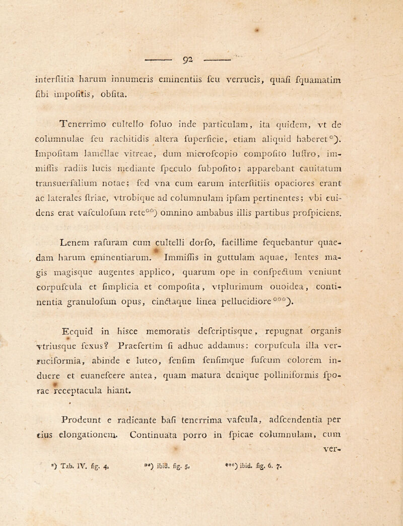 interflitia harum innumeris eminentiis feu verrucis, quafi fquamatini fibi impofitis, obfita. Tenerrimo cultello foluo inde particulam, ita quidem, vt de eolumnulae feu rachitidis altera fuperficie, etiam aliquid haberet^'). Impolitam lamellae vitreae, dum microfeopio compohto luflro, im- • ■} miliis radiis lucis mediante fpeculo fubpofito; apparebant cauitatum transuerfalium notae; fed vna cum earum interfutiis opaciores erant ac laterales Uriac, vtrobique ad columnulam ipfam pertinentes; vbi eub dens erat vaiculofum rete''^ omnino ambabus illis partibus profpiciens. Leiiem rafuram cum cultelli dorfo, facillime fequebantur quae- ® . . , dam harum eminentiarum. Immiffis in guttulam aquae, lentes ma- gis magisque augentes applico, quarum ope in confpeflum veniunt corpufcula et limplicia et' compolita, vtplurimum ouoidea, conti- nentia granulofum opus, cindlaque linea pellucidiore Ecquid in hisce memoratis deferiptisque, repugnat organis Ttriusque fexus? Praefertim li adhuc addamus: corpufcula illa ver- ruciformia, abinde e luteo, fenfim fenfimque fufeum colorem in- duere et euanefeere antea, quam matura denique polliniformis fpo- rae receptacula hiant. Prodeunt e radicante bafi tenerrima vafcula, adfccndentia per cius elongationem. Continuata porro in fpicae columnulam, cum ver- »