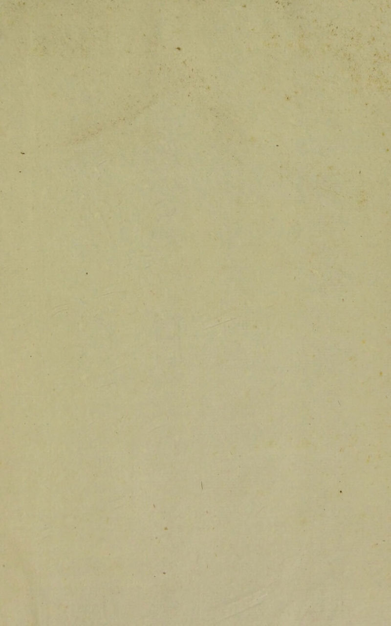 K-' . ■-* K . « ■ ' . - - ■ „ . ... • • - t . .4 ’ - * •’ .» •* '* ’■ .  * . **■ ■ '•< 1 * < » . r r