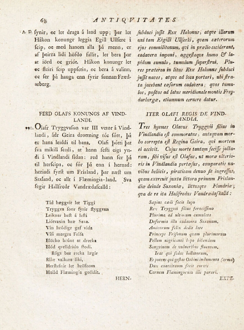 •A. P. •fO \ fynír, oc lct draga á land upp; J)ar let Hákon konungr leggia Egill Ullferc í fcip, oe med hanom alla J)á menn, er af peirra lidi höfdo fallit, let bera par at iörd oc griót. Hákon konungr let ©c fleiri fcip iippfetia, oc bcra á valinn, oc fer p'i hauga enii fyrir funnanFræd- arbsrg, / _ I ✓ FERD OLAFS KONUNGS AF VIND-  LANDI. Olafr Tryggvafon var III vetor á Viad- landi, ádr Geira drottning t6c fótt, cr hana leiddi til bana* Olafí pótti Jat fva mikill fcadi, at hann fefti eigi yn- di á Vindlandi fídaii: red hann fer pá til herfcipa, oc fór pá enn í hernad: heriadi fyrit um Frísland, Jar nteít um Saxíand, oc allt í Flæmingia-land. Sva fegir Hallfredr Vandrædafcalld: ' / Tíd hapggvít let Tlggi ,• - Tryggva fonr fyrir Ryggvaii Leiknar heft á iefti Liótvaxin hræ Saxa. Vin bródigr gaf vída Vííi margra Fríía Blöcko brúut at drecka Blód qvelldrido ftodi. , Rógs bar recka lægir Ríkr valkera' liki, Herfletnir let hröfnoin Hoild Flæmingia goíldit. fiihdiici jufflt Reoc HakonuT) atqve illarum unitam EigiUi UUferki, qvam cœterorum ejus commilitonum^ qvi in prælio cecideranU cadavera imponi^ aggejlaqve humo pidum cumulo i tumulum fuperftrui, Plu- res prœterea in litus Rex Hakonus fubduci jujjit naues, atqve ad loca portari, ubifira- ta jacebant cœforim cadavera; qvos tumu- los , pojitos ad latus meridionale montis Frey- darhergCBy etiamnum cernere datur* ITER OLAFl REGIS DE FIND- LANDIA. Tres hyemes Olavus Tryggvii filius in Vindlandia efi commoratus, anteqvam mor- bo correpta efi Regina Geira y qvi mortem ei accivit. Cujus morte tantam fecijfe jablu* ramy ftbi vifus eft Olafusy ut morce ulterio- ris in Vindlandia pertœfusy comparatis na- vibus bellicis, piraticam denuo Jit ingrejjuSy qvam exercuit\juxta littora primum Frislan- diœ deinde Saxoniœ, littusqve Tlanáriœ; qva de re ita Hallfredus Vandrœdafkalld: Sapius cadi fecit lupo Rex Tryggvii filius ferocijjimo Flurima ad ulttujmn cumulata Deformia illa cadavera Snxonion^ Amicorum felix dedit late Princeps Frifonum qvn?n plurmortim Pellem nigricanti l':po bibendum San{iyinem de vulneribus fluentem^ Iras qvi fedat bellatorum^ Et potens qvi geftat Otbini indumenta farma) Dux exercituum fecit corvis Carnem FUmingorum ille parari, EXFE^ HERN.