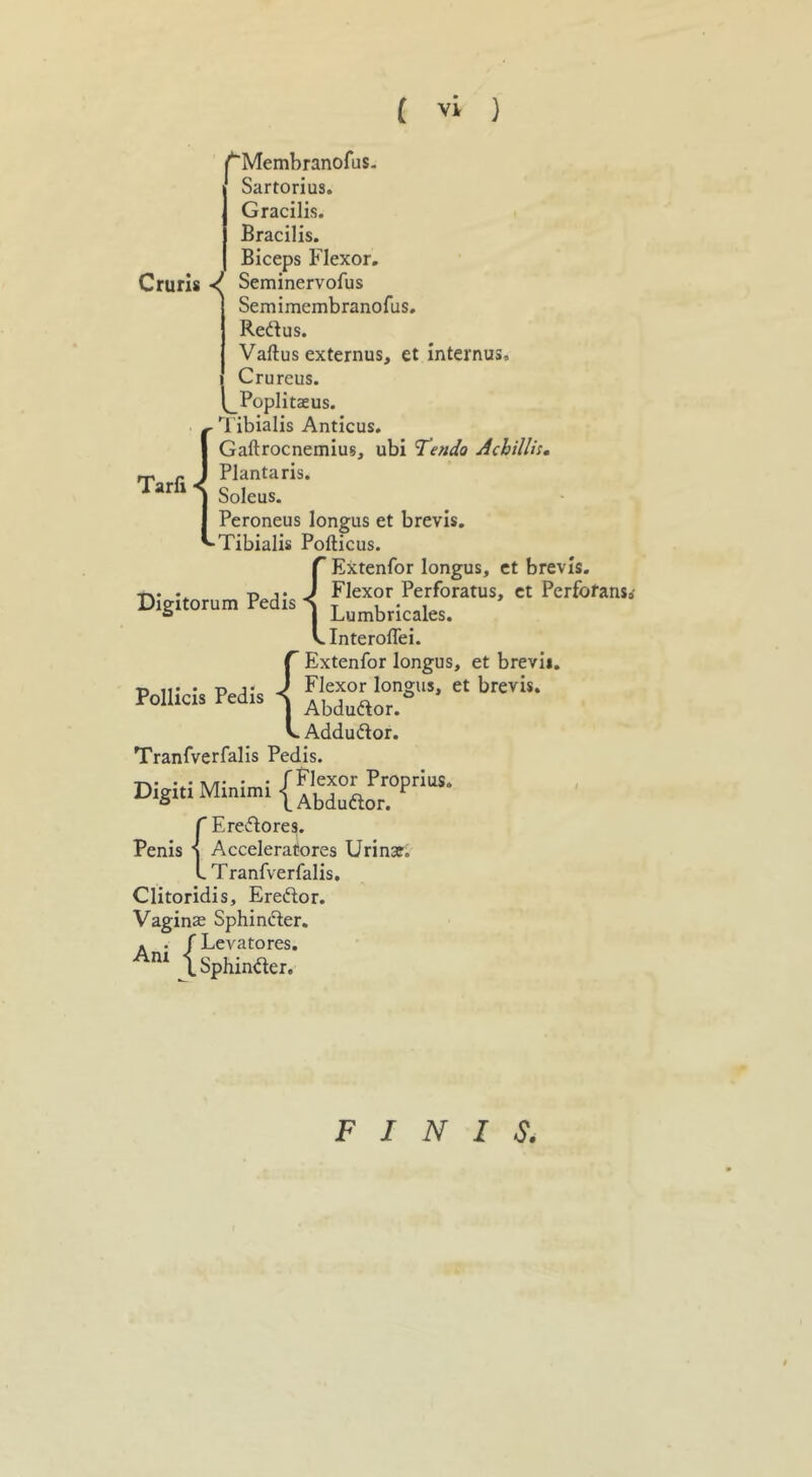 fMembranofus. Sartorius. Gracilis. Bracilis. Biceps Flexor. Cruris Seminervofus Semimembranofus. Redus. Vaftus externus, et internus, Crureus. ^Poplitaeus. Tibialis Anticus. IGaftrocnemius, ubi Tendo Achilli:. Plantaris. Soleus. Peroneus longus et brevis. Tibialis Pofticus. {Extenfor longus, et brevis. Flexor Perforatus, et Perfofansi Lumbricales. Interoflei. {Extenfor longus, et brevii. Flexor longus, et brevis. Abduaor.° Addudor. Tranfverfalis Pedis. Digit! Minimi {Eredores. Accelerators Urinar. Tranfverfalis. Clitoridis, Eredor. Vagins Sphinder. f Levatores. L Sphinder. Ani FINIS.