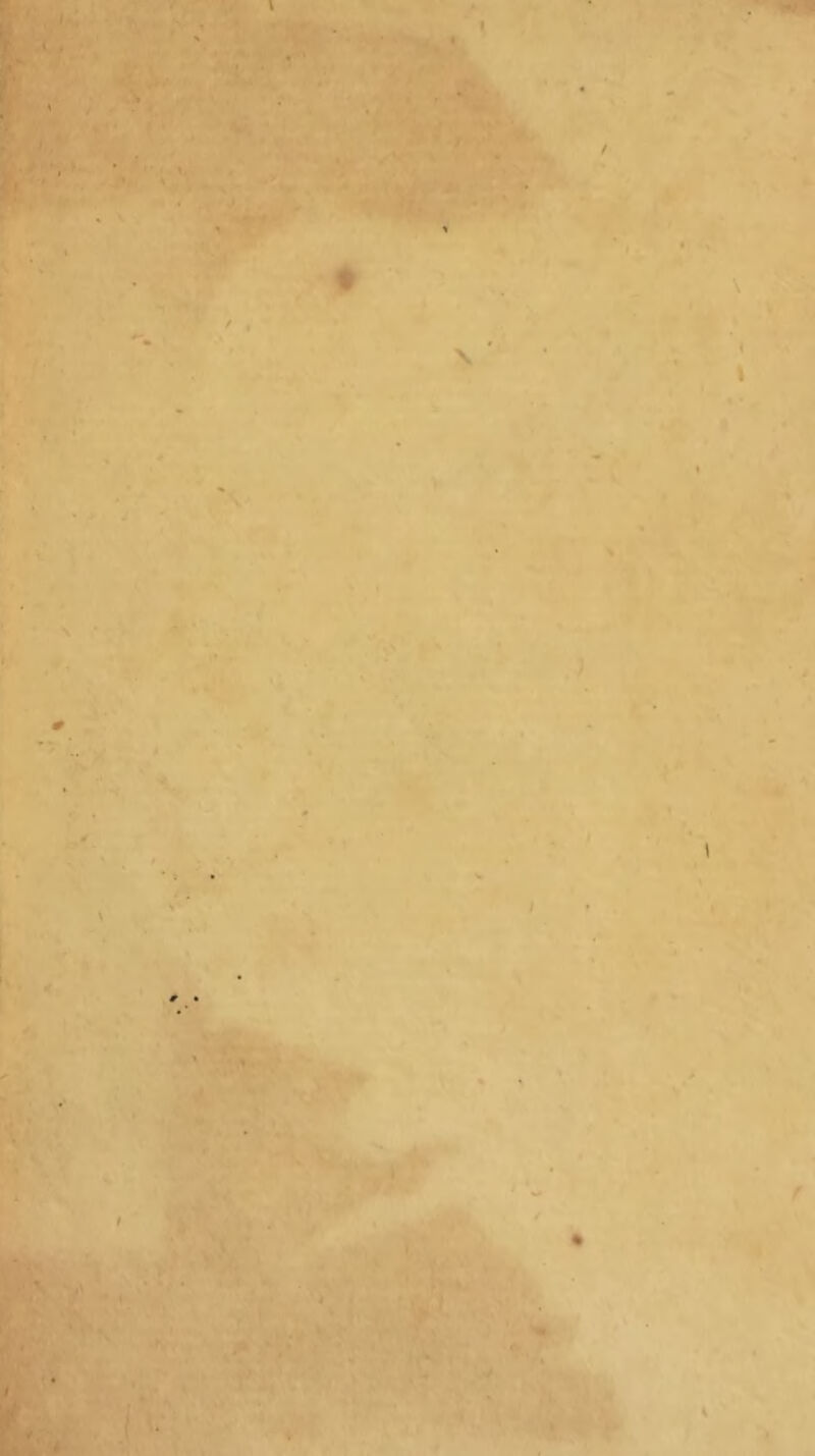 i. i \ ' [. ; i. ‘ ■ 1 ' > • tV* .11 '- \ V'' »- ■ . i. ■V ‘ I • L 1 ■■■ < ■/ »N % t t < » •% 1 4 \ ; / f.. % I \ «/• f \ o «