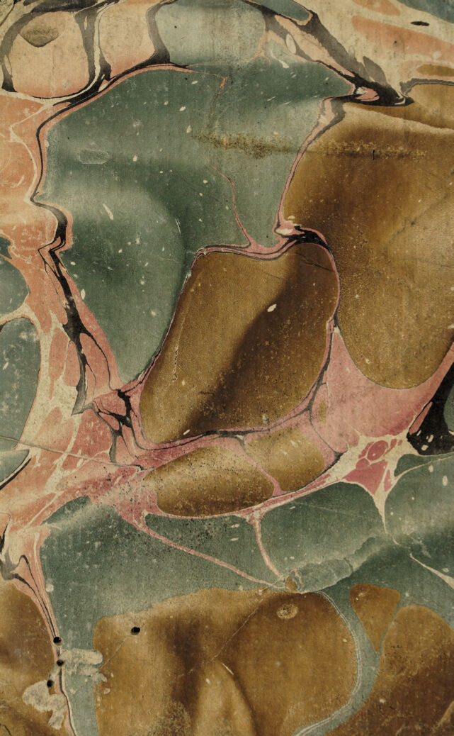 digitised image 2