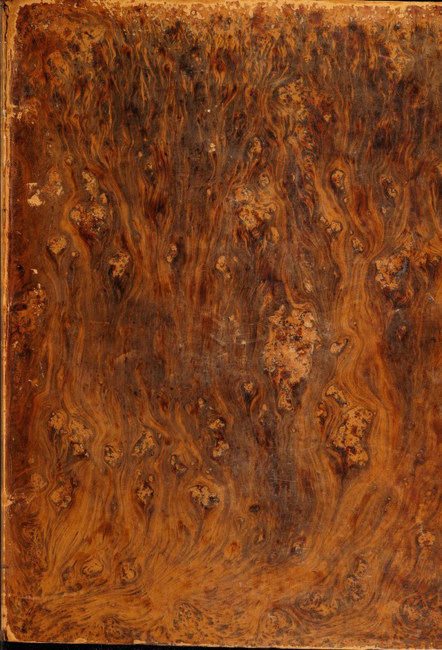 No text description is available for this image