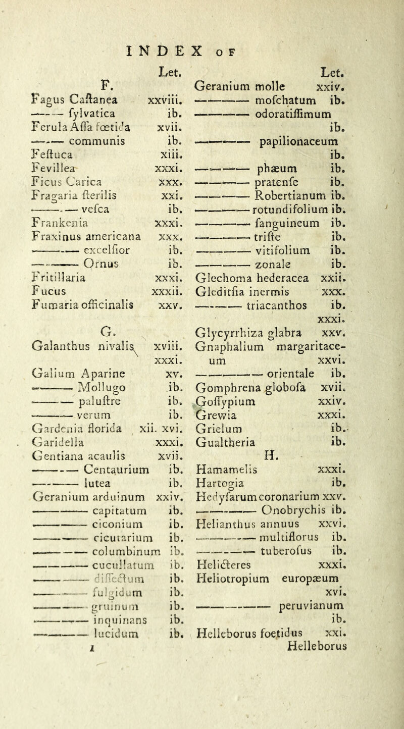 F. Fagus Caftanea fylvatica Ferula Affia faetida communis Feftuca Fevillea- Ficus Carica Fragaria fterilis -—— vefca Frankenia Fraxinus americana • excelfior Ornus Fritillaria F UCUS Fumaria officinalis Let. xxviii. ib. xvii. ib. xiii. xxxi. xxx. xxi. ib. xxxi. xxx. ib. ib. xxxi. xxxii. xxv. G. Galanthus nivalis^ Galium Aparine Mollugo • paluftre XVlll. xxxi. XV. ib. ib. ib. xii. xvi. xxxi. xvii. ib. ib. xxiv. ib. Gardenia florida Garidella Gentiana acaulis Centaurium lutea Geranium arduinum • capitatum ■ ciconium ib. — cicutarium ib. columbinum ib. — cucullatum ib. difledtum ib. —— fulgidum ib. — gruinuin ib. —- ■ — inquinans ib. lucidum ib. Let. Geranium molle xxiv. mofchatum ib. —— odoratiffimum ib. papilionaceum ib. — — phaeum ib. — pratenfe ib. —* *—-—— Robertianum ib. —■—rotundifolium ib. -— fanguineum ib. — trifte ib. — vitifoiium ib. —— zonale ib. Glechoma hederacea xxii. Gleditfia inermis xxx. — — triacanthos ib. xxxi. Glycyrrhiza glabra xxv. Gnaphalium margaritace- — orientale ib. Gomphrena globofa xvii. Gofiypium xxiv. Grevvia xxxi. Grielum ib. Gualtheria ib. H. Hamamelis xxxi. Hartogia ib. Hedyfarumcoronarium xxv. Onobrychis ib. Helianthus annuus xxvi. multiflorus ib. tuberofus ib. Heli&eres xxxi. Pleliotropium europaeum xvi. „ peruvianum ib. Helleborus foetid us xxi. Helleborus