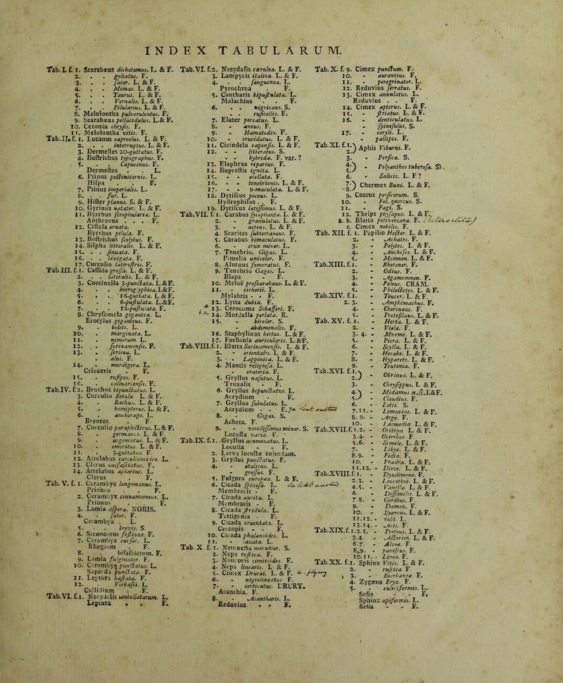 INDEX TABULARUM. Tab. I. f. i. Scarabaeus dichotomus*L. & F. 2. . . goliatus. F. 3. . . Jacer. L. & F. 4. . . Mimas. L. & F. 5. . . Taurus. L. & F. 6. . . Vernalis. L. & F. 7. . . Pilularius. F. & F. 8. Melolontha pulverulentus. F. 9. Scarabaeus pellucidulus. L.& F. IO. Cetonia chryfs. F. I i. Melolontha vitis. F. Tab. II» f. 1. Lucanus capreolus. L. & F. 2. . . interruptus. L. &F. 3. Dermetles 20-guttatus. F. 4. Boftrichus typographus. F. 1 . Capucinus. F. Dermeftes . . L. 6. Ptinus pedinicornis. L. Hifpa . . F. 7. Ptinus imperialis. L. 8. • ■ fur. L. 9. Hifter planus. S. & F. 10. Gyrinus natator. L. & F. 11. Byrrhus fcrophularia. L. Anthrenus . . . F. 12. Ciltela ornata. Byrrhus pilula. F. 13. Boftrichus fcolytus. F. 14. Silpha litteralis. L. & F. 15. . . fmuata. F. 16. . . lavigata. F. 17. Curculio latirojiris. F. Tab.III. f. I. Callida groffa. L. & F. 2. . . lateralis. L. & F. 3. Coccinella 3-pundata. L.&F. 4. • . hieroglyphica. L&F. S- « . I (s-guttata. L.&F. 6. . . 6-puJiulata. L.&F. 7. . . 12-puftuiata. F. 8. Chryfomela gigantea. L. Erotyius giganteus. F. 9. . bolett. L. 10. . marginata. L. 11. . nemorum L. 12. . furinamenfis. F. 13. . ferieea. L. . alni. F. 14. . merdigera. L. Crioceris , F. 15. . rufipes. F. 16. . calmarienfs. F. Tab.IV. f.2. Bruchus bipundatus. L. 3. Curculio Betula L. & F. 4- • Bachus. L. & F. 5. . hemipterus. L.&F. 6. . anchorago. L. Brentus. . F 7. Curculio parapledicus. L.& F. 8. . germanas. L. & F. 9. ' . ai geniatus. L.&F. 10. . emeritus. L. & F. 11. • ^-guttatus. F. 12. Attelabys curculionoides. L* 13. Cleru% unifafeiatus. F. 14. Attelabus apiarius. L. Clerus . F. Tab. V. f. I. Cerambyx longimanus. L. Prionus . . F. 2, Cerambyx cinnamomeus. L. Prionus . F. 3. Lamia afpera. NOBIS. 4- • futor. F. Cerambyx . L. 5- ■ . brevis. S. 6. Stenocorus fefiivus. F. 7. Cerambyx cur for. L. Rhagium . F. 8. . bifafeiatmn. F. 9. Lamia fulginator. F. 10. Cerambyx pundatus. L. Saperda pundata. F. ir. Leptura bajlata. F. 12. . Verbafci. L. Callidium . F. Tab,VI. f. I. Necydalis umbellatarum. L. Leptura * , F. 6. 7- S. 9- 10. 11. 12. (f .C Tab. VI. f-2. Necydalis carv.lea. L. & F. 3. Lampyris italica. I,. & F. 4. . . fangusnea. L. Pyrochroa . F. 5. Cantharis bipujlulata. L. Malachius . . F. . nigricans. S. . ruf collis. F. Elater porcatus. L. - aneus. F. - Hamatodes. F. - crucidatus. L. & F. Cicindela capenfis. L.&F. - - litteratus. S. - - hybrida. F. var. ? 13. Elaphrus riparius. F. 14. Bupreltis ignita. L. 15. - ocellata. F. 16. - - tenebrionis. L. & F. 17- • 9-maculata. L. & F. 18. Dytifcus piceus. L. Hydrophilus . . F. 19- Dytifcus latijjimus. L. & F. Tab.VII. f. I. Carabus fycophanta. L. & F. 2. » granulatus. L. & F. 3. - nitens. L. & F. 4. Scarites fubterraneus. F. 5. Carabus bimaculatus. F. 6. - erux minor. L, 7. Tenebrio. Gigas. L. Pimelia unicolor. F. 8. Aiurnus femoratus. F. 9. Tenebrio Gages. L. Blaps - F. 10. Meloe profcarabxus. L. & F. 11. - cichorii. L. Mylabris - - F. ^12. Lytta dubia. F. 13. Cerocoma Schajferi. F. 14. Mordella perlata. R. 15. - bicolor. S. abdominalis. F. 16. Staphylinus hirtus. L.&F. 17. Forficula auricularis. L.&F. Tab.VIII.fi I. Blatta Surinamenfis. L. & F. 2. * orientalis. L. & F. 3- • - Lapponica. L. & F. 4. Mantis religiofa. L. - oratoria. F. 5. Gryllus nafutus. L. Truxalis - F. 6- Gryllus bipundatus. L. Acrydium - F. 7- Gryllus fubulatus. L. Acrydium - - F. 7- 8. - Gigas. S. Acheta. F. 9- - virtdijjimus minor, Locufta varia. F. Tab.IX. f. I. Gryllus acuminatus. L. Loculta - - F. 2. Larva loculbe cujusdam» 3. Gryllus pundatus. F. 4- - italicus. L. - grojfus. F. 5. Fulgorn eurof&a. L 6. Cicada fpinofa- L. Membratis - F. 7. Cicada aurita. L. Membracis ■ F. 8. Cicada Jiridula. L; Tettigonia F. 9- Cicada cruentata. L. Cercopis - - F. 10. Citada phalanoides. L. 11. - lanata. L. Tab. X fi 1. Netonefla mir.utior. S. 2. Nepa rujtica. F. 3- Naucoris cimieoides. F. 4. Nepa linearis. L&F. 5. Cimex Drurai. L.&F. 6. . nigrolinextus F. 7. - corticatus. LRURY. Aeanthia. F. 8- - Mcantharis. L. Reduvius . • S. Tab. X. fi 9. Cimex pundum. F. 10. • aurantius. F, 11. - peregrinator. L. 12. Reduvius ferratus. F. 13. Cimex annulatus. L. Reduvius . . F. * 14. Cimex apterus. L. & F. 15. - Jlriatus. L. & F. 16. • denticulatus. L. . fpinofulus. S. 17. . coryli. L. . pallipes. F. Tab.XI. fii.^ Aphis Viburni. F. 3. - Ver fica. S. Polyanthes tuberofa. St. Salicis. L. F ? Chermes Buxi. L. & F, 9. Coccus perf eorum. S. . Fol. quercus. S. Fagi. S. Thrips phyfapus. L. &F. . _ Blatta petiveriana. F. jrUuMciy) V 6. 10. 11. 12, a. b c. Cimex nobilis. F, Tab. XII. fi I. Papilio Hedor. L. & F. 2. 3- 4- Tab.XIII. fili 2. 3- 4- Tab.XIV. £1! 2. 3. 4- Tab. XV. fi 1. 2. 3- 4 5. 6. 7- 8. Tab.XVI. fir.\ z.) 3. V & F. iSlx OlAnf 5 6. 7. H. - 8. 9. - Tab.XVII.fi i.2. 3-4- - S.6. - 7. 8.9. ■ 10. 11.12. Tab.XVIII.fi 1. - 2.3. . 4.S. - 6 7.8. ■ 9. 10. - 11. 12. 13.14. Tab.XIX.fi 1.2. s. .- 3-4- 6.7 8.9. Tab.XX. f.i. Sphinx Vitis. L. & F. 2. - rujtica F 3. - Boerhavia F. 4- Zygsena Eryx F. 5. - culici formis. L. Selia F, Sphinx apiformis. L. Setia - - F. Achates. F. Polytes. L. & F. Anchifes. L. & F. Memnon. L. & F. Rhetenor. F. Odius. F. ^Agamemnon. F. Peleus. CRAM. Philodetes. L. & F. Teucer. L. & F. Mmphimachus. F. Chorinaus. F. Protefilaus. L. & F. Florta. L. & F. Viola. F. Mneme. L. & F. Pitra. L. & F. Scylla. L. & F. Ffecabe. L. & F. Flyparete. L. & F. Teutonia. F. Obrinus. L. & F. chryfppus. L. & F. Midamus a./3.L&F. Claudius. F. Lotis. S. Lemonias. L. & F. ^Arge. F. L acmedia. L. & F. Orithya L. & F. Ocirrhoe. F, Stme/e. L. & F. Libye. L. & F. Fidia. F. Phadra. L. & F. Dirce. L. & F. Dyndirnene. F. Leucothee. L. & F. VanitU L. & F. Difftmihs. L. & F. Gordius. F. Damon. F. X>uercus. L. & F. rubi. L. ^Acis. F. Proteus. L. & F. Mdorion. L. & F. Alcea. F. panifeus. F. Linus. F.