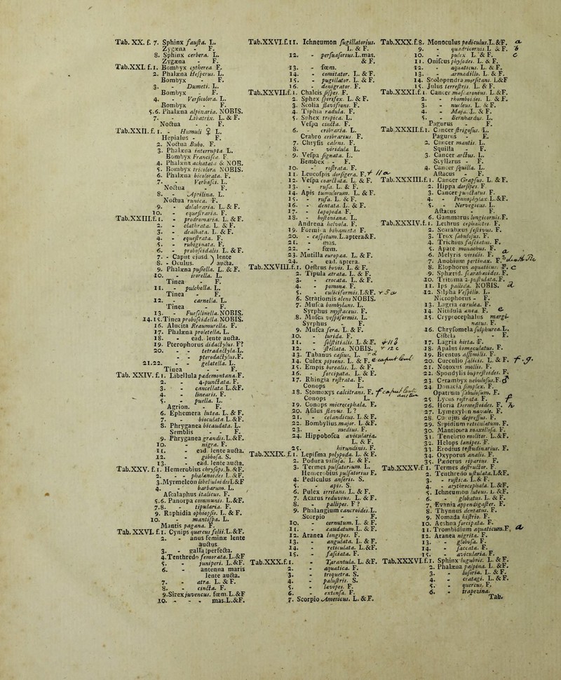 Tab. XX. f. 7. Sphinx faufta. L. Zygaena - F. 8. Sphinx cerbera. L. Zygaena - F. Tab.XXI. f.i. Bombyx cytherea E. 2. Phalaena Hefperus■ L. Bombyx - F. 3. - Dumeti. L. Bombyx - F. 4. . Verjicolora. L. Bombyx - F. S-6. Phalaena alpinaria. NOBIS. 7. • Libatrix. L. & F. Noftua - . F. Tab,XXII. f. i. . Humuli J L. Hepialus - F. 2. Noftua Bubo. F. 3. Phalaena interrupta L. Bombyx Francifca. F 4. Phalaena achatata & NOB. 5. Bombyx tricolora NOBIS. 6. Phalsena bicolorata. F. 7■ - Verbafci. L. Noftua . F. 8. - Mprilina. L. Noftua rv.nica. F. - dolabraria. L. & F. - equefiraria. F. • prodromaria. L. & F. - clathrata. L. Sc F. - dealbata. L. & F. - equefirata. F. - rubiginata. F. - probofeidahs. L. & F. Caput ejusd ^ lente 9. Tab,XXIII. f. i. 3- 4- 5. 6. 7. 8. - Oculus. aucta. 9- Phalaena pufiella. L. & F. 10. - irorella. L. Tinea - F. 11. - pulchella. L. Tinea - F. 12. - camella. L. Tinea - F. 13- - Fuefslinilla. NOBIS. I4> IS.Tinea probofcidella. NOBIS. 15. Alucita Reaumurella. F. 17. Phalaena proletella. L. 18. - ead. lente aufta. 19- Pterophorus di dactylus. F? 20. . . tetradadlyla.L. - - pterodailylus.F. 21.22. . . gelatella. L. Tiuea - - F. Tab. XXIV. f. . 1. I.ibellula p&demontana.F. 2. 4.punctata. t. 3. cancellata L.&F. 4- linearis. F. S- puella. L. Agrion. ' F* 12. 13- 14. 15. 16. Ichneumon fugillatorius. L. & F. - perfuaforius.L.mas. & F. - fcem. - comitator. L. & F. - pugillator. L. Si F. denigrator. F. Tab.XXVI.f.II. Ichneumon fugillatorius. Tab,XXX.f.8. Monoculuspediculus.'L.&F. 9. - qu.idsicornis.L &F. 10. - pulex L & F. 11. OnifcUS phyjodei. L. & F. 12. - aquaticus. L. & F„ 13. - armadillo. L. & F. 14. Sri>lnpendramor/itans. L&F 1 S. Jtilus terreftr.is. L. & F. Tab.XXXI.f. t. Caneec mafearonius. L.&F. 2. - rhomboidei. L. &F. 3. - nucleus. L. Se F. 4. - Maja. L. & F. 5. • Bernhardus. L. Pagurus - F. Tab.XXXII.f. 1. Csncerjlrigofus. L. Pagurus - F. 2. Cancer mantis. L. Squilla - F. 3. Cancer ardius. L. Styllarus - F. . ». 4. Cancer jquilta. L. 11. I.eucofpis dorfigera. FM  ^ Altacus - F. 12. Velpa coardata. L.. & F. Tab.XXXIII.f. 1. .Cancer Grapfus. L. Se F. 2. Hippa dorfipes. F 3- Cancer pundatus. F. 4. - Pinnophylax.h.8cTc. 5. - Norvegicus. L. Altacus - F. 6. Gammarus longicornit.F. Tab.XXXIV.f. I. Lethrus cephaictrs. F. 2. Scarabsus feftivus. F. <3, '6 C Tab.XXVII.f- 1 • Chalcis Jifpes. F. 2. Sphex fptrtfex. L. & F. 3. Seolia Jlavifrons. F. 4. Tiphia radula. F. 5. Sphex tropica. L. Vefpa ancla. F. 6. - cribrarja. L. Crabro cribrarius F. 7- Chrylis calens. F. 8. - viriditU L. 9- Vefpa Jignata. L. Bembex - F. IO. rofirata. F. 6. Ephemera lutea. L. & F. 7. - bioculata L.&F. 8. Phryganea bicaudata. L. Semblis - - F. 9- Phryganeagrandis.L.ScF. IO. - nigra. F. it. - ead lente aufta. 12. . gibbofa. S. 13. - ead. lente aufta. Tab.XXV. f.i. Hemerobius chryfopj.Ja.8cF.. 2. - - phaUnoides L.&F. 3. Myrmeleon UbeliuloidesL8cF 4. - barbarum. L. Afcalaphus italicus. F. S.6. Panorpa communis. L.&F. 7.8. - tipularia. F. 9. Rs phidia ophiopjis. L. & F. IO. - mantifpa. L. Mantis pagana. F. Tab. XXVI. f. I. Cynips quercus folii.L.&F. 2. - anus feminae lente auftus 3. - ealfa Iperfefta. 4. Tenthredo femorata.L.8cF 5. • juniperi. L.&F. 6. - antenna matis lente aufta. 7. • atra. L. & F. 8. - cwdta. F. 9.Sir ex juvencus, fcem. L.&F 10. - - - mas,L.&F. 1 3- - rufi. L. & F. 14. Apis tumulorum. L. & F. IS- - rufa. L. & F. 16. - dentata. L. & F. 17* - lapopoda. -F. 18. - boftoniana. L. Andrena helvola. F. 19- Formi' a bihamata F. 20. - rayJzfaTO.L.aptera&F. 21. . mas. 22. - fcem. 23. Mutilla europaa. L. & F. 24. - ead. aprera. Tab.XXVIlI.f. 1. Oeitrus bovis. L.&F. 2. Tipula atrata. L. & F. 3- - crocata. L. & F. 4. - pomonx. F. 5. - caliciformis. 1 &F. itScp 6. Stratiomis olens NOBIS. 7. Mufca bombyUns. L. Syrphus myflaceus. F. 8. Mufca vefpiformis. L. Syrphus - F. 9- Mufca fera. L. & F. 10. - lurida. F. 11. - foljtitialis. L.8c.F. 12. - fiellata. NOBIS. 13- Tabanus exfiur. L. r<*- / 14. Culex pipiens. L. & F. e 15. Empis borealis. L. & F. 16. - forcipata. L. & F. 17. Rhingia roftrata. F. Conops L. . * 18. Stomoxys calcitrans. F. •f-ca-fm-r ca-F- Conops - L. 19. Conops microcephala. F. 20. Afilus flavus. L ? 21. . celandicus. L.&F. 22. Bombylius «za/nr. L &F. 23. - medius. F. 24. Hippobofca avicularia. L. & F. 2S- hirundinis. F. Tab.XXIX. f. 1. Lepifma polypoda. L. & F. 2 r/2c 13- 14. IS- Tab.XXX. f.i. 2. 3. 4. 5. 6 2. Poduravillofa. L.&F. 3. Termes pulfatorium. L. Hemerobius pulfatonus F. 4- Pediculus anferis. S. 5. - apis. S. 6. Pulex irritans. L. & F. 7- Acarus reduvius. L. & F. 8. - pallipes. F ? 9. Phalangium cancroides,L. Scorpio - - F. 10. - cornutum. L. & F. 12. Aranea longipes. F. • angulata. L. & F. . reticulata. L.&F. fafeiata. F. . T/irantula. L. &F. • aquatica. F. - triquetra. S. - paluftris. S. - levipes. F. extenfa. F. 7. ScorpiocAmeticus. L.&F. 3. Trox fabulojus. F. 4. Trichius fafeiatus. F. 5. Apate monachus. F. - 6. Melyris viridis. F. o / sj 7) 7- Anoimun pertinax. F.oda-M- 8. Elophorus aquaticus, T. C. 9. Sphacrid. farabxcides. F. 10. Tritonia 2.puftulata.F. 11. Ips pallida. NOBIS, cf 12. Silpna Vefpillo. L. Nicrophorus - F. 13. Lagria carulea. F. 14. Nitidula xnea. F. & IS- Crypiocephaltis margi. natus. F. 16. Chryfomelafulvhurea.L. Ciftel.i - - F. 17. Lagria hirta. F. 18- ApalllS bimaculatus. F. 19. Bientus affimilis. F. 20. Curculio filicis. L. & F. / -ff- 21. Notoxus mollis. F. 22. Spondylis buprejlotdes. F. 23. Cetambyx nebulofus.F■ c? 24 Donacia fimplex. F. Opatrum fabutofum. F. . 25 Lycos rojlrata F. -f~ 26. Horia Dermejloides. F. 27. Lymexyb 11 navale. F. 28- Ctn ujlis depreffus. F. 29. Sapinium reticulatum. F. 30. Manticora maxiltofi. F. 31. Tenebrio molitor. L.&F. 32. Helops lanipes. F. 33. Erodius teftudinarius. F. 34. Oxyporus analis. F. 3S- Paerterus riparius F. Tab.XXXV.f I. Termes defirudtor. F. 2. Tenthredo uftulata.Jj&F. 3. - rv.ftiea. L.&F. 4. - arythrocephala.~L.8cF. 5. Ichneumon luteus. L &F. 6. - globatus. L. & F. 7. Evania dppendigafier. F. 8. Thynnus dentatus. F. 9. Nomada hiflrio. F. 10. Bestina forcipata. F. ia. Aranea nigrita. F. 13. . globofa. F. 14. - Jaccata. F. 15. - avicularia. F. Tab.XXXVI.fi. Sphinx lugubris. L. &F. 2. Phaloena palpina. L &r. 3. . luforia. L. &F. 4. . cratagi. L.&F. 5. - quercus. F. fi. . trapezina. a.