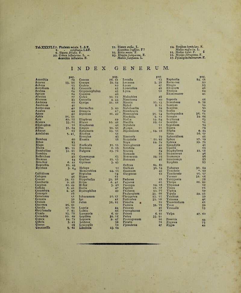 Tab.XXXYXf.7. Fhalama mUU. L. &F. 8. - xylofieana.h&F. 9. Sigara Jiriata. F. IO. Cimex leftularius. L. <*- Acanthia LeCiulnria. F. II, Cimex erojus. L. Acanthia crajjtpes. F? IS. Bibio morio. F. 13. Rhagio fiolopaceus. F. Mulca Jcolopaeea. L. 14. Syrphus lombylans. F. Mufca myfia ea. L. 15. Mufca C&far. F. 6 16. Myopa ferruginea. F. 17. tycnogon.baUnarum. E, I N D E X G E N E R U M. pag. Pag. pag- pag. Acanthia 79 Coccus 16. 81 Locu fi a 33 Raphedia- 24. s6 A carus 33. 85 Conops 34. 84 Lucanus 3- 38 Reduvius 80 Acheta 53 Crabro 60 Lyciis 47 Rhagio 83 Acrydium 33 Crioceris 43 Lymcxilon 48 Rliagium 46 Aeshna 64 Cryptocephalus 43 Lytta 31 Rhingia 84 Agrion 64 Cucujus 4S Rhinomacer 45 Alucita 77 Culex 30. SS Malachius 48 Alurnus 41 Curculio 4- 44 Manticora 30 Saperda 46 Andrena 60 Cynips 23. S6 Mantis 12. 33 Scarabaeus 2. 38 Anobiutn 4t Meloe S. Si Scari.tes 50 Anthrenus 40 Dermeftes 3- 40 Melolontha 39 Scaurus 50 Apalus 44 Donacia 47 „ Membracis 78 Scolia 59 Apate 40 Uytifcus II. 49 Monocu! as 33- S4 Scolopendra 36. 65 Aphis IS. Si Mordella 3. SI Scorpio 34- 66 Apis 60. 2 8 Elaphrus 49 Mufca 29- 84 Scyilarus 63 Aranea 33- 63 Flater IO. 48 Mutilla 28. 61 Semblis 5 S Afcalaphus S 6 Elophorus 41 Mylabris 3 1 Sepidium 5o Afilus 3t. 84 Fmpys 31. SS Myopa 83 Sigara 78 Aftacus 63 Ephemera 23- 3S Myrmeleon 24. S6 Silpba 4- 42 Attelabus 5. 43, Erodius 31 Sirex 26. S7 Erotylus 43 Naucoris 79 Sphaeridium 41 Bembex 60 Evania 38 Necydalis IT. 48 Sphex 27- 59 Bibio 83 Nepa 14- 79 Sphinx 19- 72 Blaps so Forficula 12. S2 Nicropborus 42 Spondylis 45 Blatta 12. S2 Formica 6. 28 Niti Aula 42 Squilla 63 Bombylius 31- SS Fulgora 13. 78 Noctua 74 Staphylintis II. SI Bombyx 73 Nomada 61 Stenocorus 46 Boftrichus 40 Gammarus 63 Notnnccta 14- 78 Stontoxys 86 Brentus 44 Gryllus' 12. S3 Notoxus 43 Strati omys 83 Bruchus 6. 41 Gyrinus 3. 43 Syrphus S3 Bupreflist ro. 48 Oefirus 29- 82 Byrrhus 3- 4q Helops 31 Onifcus 3«. 34 T abanus 30. 84 Hemerobius 24. 33 Opatrum 42 Tenebrio • SO Callidiunt 47 Hepialus 74 Oxyporus 54 Tenthredo 25« S7 Calopus 46 Hippa 63 Termes 32. S6 Cancer 34. 62 Hippobofca 32. 86 Paederus 52 Tettigonia 78 Cantharis 9- 48 Hifpa 6. 41 Pagurus 62 Thrips 16. 81 Carabus IO. 49 Hi lier 3- 40 Pauorpa 24. S6 Thynnus 59 Caffida 6. 42 Horia 47 Papilio 16. 67 Tinea 76 Cerambyx 8. 46 Hydrophilus 49 Phalsena 20. 75 Tiphia 59 Cercopis 78 Phalangium 33- 66 Tipula 29. 84 Cerocoma si Ichneumon 25. S7 •Phryganea 23- 55 T richius 39 Cetonia 39 Ips 41 Pediculus 32. 36 Tritoma 41 Chalcis S8 Julus 36. 6S Pimelia * 50 Trombidium 65 Chermes 16. 81 Poilura 32. 5 5' Trox 39 Chrylis 27- 39 Lagria- 44 Prionus 46 Truxalis 53 Ehryfomela 7 43 Lamia 46 Prerophorus 77 Cicada 13. 78 Lampyris 6. 47 Ptinus 6. 41 Vefpa .27. 60 Cicindela IO. 49 Lepifma 32. 3 S Pulex 33- 81 Cimex 14. 79 Leptura 9- 47' Pycnogonum 86 Zomitis 44 Ciftela 3- 43 Lethrus 38 Pyralis 76 Zygtena 73 Clerus 4S Leucopfis 39 Pyrochroa 47 Zygia- 44