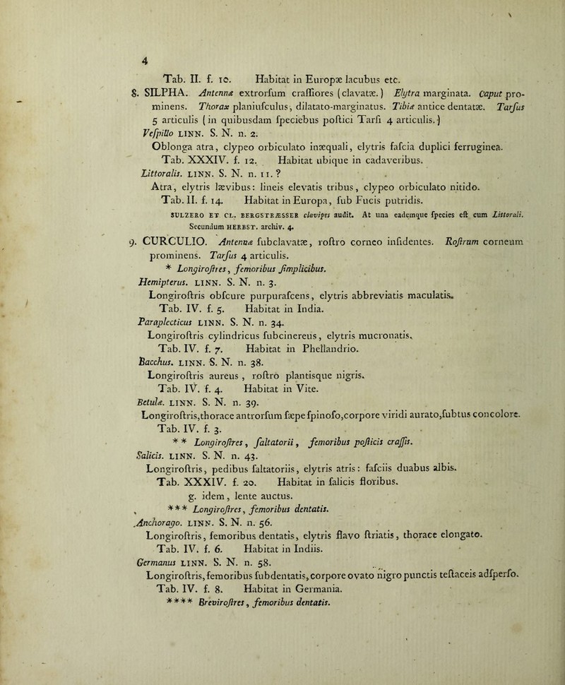 \ 4 Tab. II. f. io. Habitat in Europae lacubus etc. S. SILPHA. Antenna extrorfum crafliores (clavatae.) Elytra marginata. Caput pro- minens. Thorax planiufculus, dilatato-marginatus. Tibia antice dentatae. Tarfus 5 articulis (in quibusdam fpeciebus poftici Tarfi 4 articulis.) Vefpillo linn. S. N. n. 2. Oblonga atra, clypeo orbiculato inaequali, elytris fafcia duplici ferruginea. Tab. XXXIV. f. 12. Habitat ubique in cadaveribus. Littoralis. LINN. S. N. n. ii. ? Atra, elytris laevibus: lineis elevatis tribus, clypeo orbiculato nitido. Tab. II. f. 14. Habitat in Europa, fub Fucis putridis. SXJLZERO ET cl. BERGSTR.ESSER clavifes audit. At una eademque fpecies eft cum Littorali. Secundum herbst. archiv. 4. 9. CURCULIO. Antenna fubclavatae, roftro corneo infidentes. Roftrum corneum prominens. Tarfus 4 articulis. * Longiroftres, femoribus fmplicibus. Hemipterus. linn. S. N. n. 3. Longiroftris obfcure purpurafcens, elytris abbreviatis maculatis. Tab. IV. f. 5. Habitat in India. Paraplccticus LINN. S. N. n. 34. Longiroftris cylindricus fubcinereus , elytris mucronatis. Tab. IV. f. 7. Habitat in Phellandrio. Bacchus. LINN. S. N. n. 38. Longiroftris aureus , roftro plantisque nigris. Tab. IV. f. 4. Habitat in Vite. Betula. LINN. S. N. n. 39. Longiroftris,thorace antrorfum fsepefpinofo,corpore viridi aurato,fubtus concolore. Tab. IV. f. 3. * * Longiroftres, faltatorii, femoribus pojlicis crajjis. Salicis. LINN. S. N. n. 43. Longiroftris, pedibus faltatoriis, elytris atris: fafciis duabus albis. Tab. XXXIV. f. 20. Habitat in falicis floribus, g. idem, lente auctus. , * * * Longiroftres, femoribus dentatis. ,Anchorago. LINN. S. N. n. 56. Longiroftris, femoribus dentatis, elytris flavo ftriatis, thorace elongato. Tab. IV. f. 6. Habitat in Indiis. Germanus LINN. S. N. n. 58. Longiroftris,femoribus fubdentatis,corpore ovato nigro punctis teftaceis adfperfo. Tab. IV. f. 8. Habitat in Germania. **** Breviroftres, femoribus dentatis.