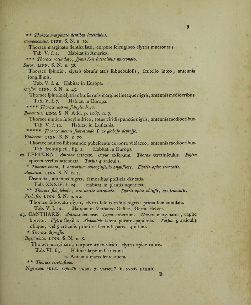* * Thorace marginato dentibus lateralibus. Cinnamomeus. LINN. S. N. n. IO. Thorace marginato denticulato, corpore ferrugineo elytris mucronatis. Tab. V. f. 2. Habitat in America. *** Thorace rotundato, /pinis fixis lateralibus mucronato. Sutor. LINN. S. N. n. 38. Thorace fpinofo, elytris obtufis atris fubnebulofis , fcutello luteo , antennis longiffimis. Tab. V. f. 4. Habitat in Europa. Cur/or. LINN. S. N. n. 45. Thorace fpinofo,elytris obtufis rufis margine lineaque nigris, antennis mediocribus. 1 ab. V. f. 7. Habitat in Europa. **** Thorace inermi fubcylindrico. Punctatus. LINN. S. N. Add. p. 1067. n. 7. Thorace mutico fubcylindrico, totus viridis punctis nigris, antennis mediocribus. Tab. V. f. 10. Habitat in Lufitania. ***** Thorace inermi fubrotundo f. ex globofo deprej/o. Violaceus. LINN. S. N. n. 70. . Thorace mutico fubrotundo pubefeente corpore violaceo, antennis mediocribus. Tab. frontifpicii, fig. 2. Habitat in Europa. 22. LEPTURA. Antenna fetaceae. Caput exfertum. Thorax teretiufculus. Elytra apicem verfus attenuata. Tar/us 4 articulis. * Thorace ovato, f. antrorfum oblongiufculo angujliore. Eytris apice truncatis. Aquatica. LINN. S. N. n. I. Deaurata, antennis nigris, femoribus pollicis dentatis. Tab. XXXIV. f. 24. Habitat in plantis aquaticis. ** Thorace fubglobofo, nec antice attenuato. Elytris apice obtu/s, nec truncatis. Veibafci. LINN. S. N. n. 22. Thorace fubovato nigro, elytris fafeiis tribus nigris: prima femiannulata. Tab. V. f. 12. Habitat in Verbafco Galliae, Germ. Helvet. 23. CANTHARIS. Antenna fetaceae. Caput exfertum. Thorax marginatus , capite brevior. Elytra flexilia. Abdominis latera plicato -papillofa. Tar/us 5 articulis ubique, vel 5 articulis primi et fecundi paris, 4 ultimi. * Thorace deprejjo. Bipujhtlata. LINN. 'S. N. n. 8. Thorace marginato , corpore aeneo-viridi, elytris apice rubris. Tab. VI. f. 5. Habitat faepe in Caricibus. a. Antenna maris lente aucta. ** Thorace teretiu/culo. Nigricans sulz. rufccllis fabr. 7. variet.? V. SYST. FABRIC. B