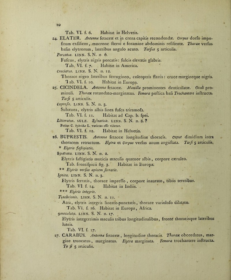 IO Tab. VI. f. 6. Habitat in Helvetia. 24. ELATER. Antenna fetaceae et in crena capitivs recondendae. Corpus dorfo impo- litum exfiliens , mucrone fterni e foramine abdominis refiliente. Thorax verfus bafin elytrorum, lateribus angulo acuto. Tarfus 5 articulis. Porcatus. LINN. S. N. n 6. Fufcus, elytris nigris porcatis: fulcis elevatis glabris. Tab. VI. f. 7. Habitat in America. Cruciatus. liNN. S. N. n. 12. Thorace nigro lateribus ferrugineo, coleoptris flavis: cruce margineque nigris. ^ ab, VI. f. 10. Habitat in Europa. 25. CICINDELA. Antenna fetaceae. Maxilla prominentes denticulatae. Oculi pro- minuli. Thorax rotundato-marginatus. Femora poftica bafi Trochantere inffcructa. Tarfi 5 articulis. Capenfs. LiNN. S. N. n. 3. Subaenea, elytris albis linea fufea triramofa. Tab. VI. f. 11. Habitat ad Cap. b. fpei. Litteratus. SULZ. Syhatica. LINN. S. N. n. 8. ? Potiijs C. hybrida L. varietas e(Te viiletur. Tab. VI. f. 12. Habitat in Helvetia. 26. BUPRESTIS. Antenna fetaceae longitudine thoracis. Caput dimidium intra thoracem retractum. Elytra et Corpus verfus anum angiiflata. Tarfi 5 articulis. * Elytris fajligiatis. 8guttata. LINN. S. N. n. 2. Elytris faftigiatis muticis maculis quatuor albis , corpore caeruleo. Tab. frontifpicii fig. 3. Habitat in Europa. ** Elytris verfus apicem ferratis. Ignita. LINN. S. N. n. 3. Elytris ferratis, thorace impreffo , corpore inaurato, tibiis teretibus. Tab. VI f. 14. Habitat in lndiis. *** Elytris integris. Tenebrionis. LINN. S. N. n. 11. Atra, elytris integris lineato-punctatis, thorace variolofo dilatato. Tab. VI. f. 16. Habitat in Europa, Africa. gmaculata. LINN. S. N. n. 17. Elytris integerrimis maculis tribus longitudinalibus, fronte thoracisque lateribus luteis. Tab. VI. f. 17. 27. CARABUS. Antenna fetaceae , longitudine thoracis. Thorax obeordatus, mar- gine. truncatus, marginatus. Elytra marginata. Femora trochantere inftructa.