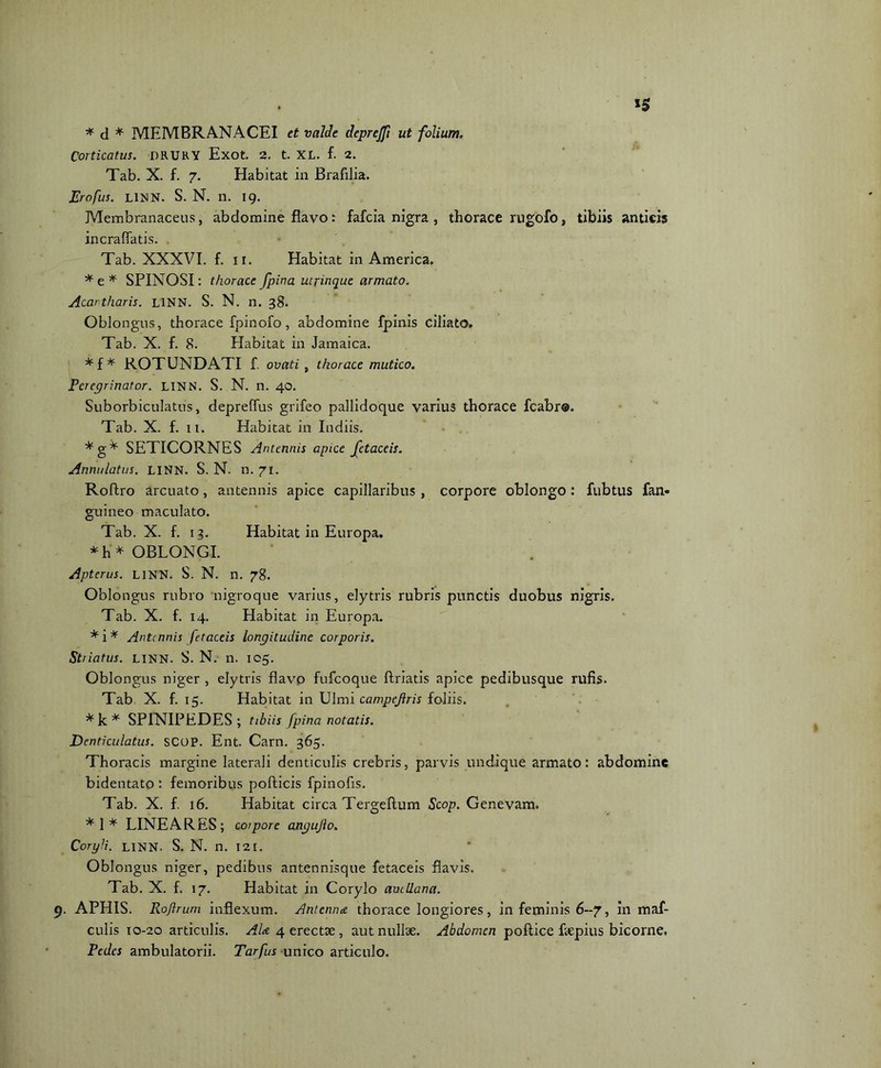 * d * MEMBRANACEI et valde deprejjl ut folium, Corticatus. DRURY Exot. 2. t. XL. f. 2. Tab. X. f. 7. Elabitat in Brafilia. Erofus. LINN. S. N. n. ig. Membranaceus, abdomine flavo: fafcia nigra , thorace rugolo, tibiis anticis incraflatis. Tab. XXXVI. f. ir. Habitat in America. *e* SPINOSI: thorace fpina ucrinque armato. Acartharis. L1NN. S. N. n. 38. Oblongus, thorace fpinofo, abdomine fpinis ciliato. Tab. X. f. 8. Habitat in Jamaica. *f* ROTUNDATI f. ovati, thorace mutico. Peregrinator. LINN. S. N. n. 40. Suborbiculatus, depreflus grifeo pallidoque variu3 thorace fcabr®. Tab. X. f. ii. Habitat in ludiis. *g* SETICORNES Antennis apice fetaceis. Anriulatus. LINN. S. N. n. 71. Roftro arcuato, antennis apice capillaribus , corpore oblongo : fubtus fan* guineo maculato. Tab. X. f. 13. Habitat in Europa. *h* OBLONGI. Apterus. LINN. S. N. n. 78. Oblongus rubro nigroque varius, elytris rubris punctis duobus nigris. Tab. X. f. 14. Elabitat in Europa. *i* Antennis fetaceis longitudine corporis. Striatus. LINN. S. N. n. 105. Oblongus niger , elytris flavo fufeoque ftriatis apice pedibusque rufis. Tab X. f. 15. Habitat in Ulmi campefiris foliis. *k * SP1NIPEDES ; tibiis fpina notatis. Denticulatus. SCOP. Ent. Carn. 365. Thoracis margine laterali denticulis crebris, parvis undique armato: abdomine bidentato : femoribus pofticis fpinofis. Tab. X. f. 16. Habitat circa Tergeftum Scop. Genevam. *1* LINEARES; corpore angujlo. Coryli. LINN. S. N. n. 121. Oblongus niger, pedibus antennisque fetaceis flavis. Tab. X. f. 17. Habitat in Corylo avellana. APHIS. Rofirum inflexum. Antcnnte. thorace longiores, in feminis 6-7, in maf- culis 10-20 articulis. AU 4 erectae, aut nullae. Abdomen poflice faepius bicorne. Pedes ambulatorii. Tarfus unico articulo.