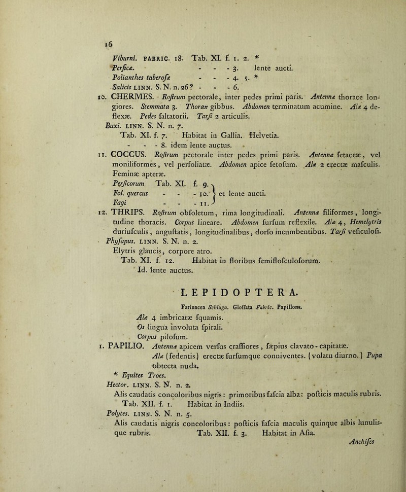 Viburni. FABRIC. 18. Tab. XI. f. i. 2. * Perfica. - - - 3. lente aucti. Polianthes tnberoja - - - 4. 5. * Salicis LINN. S. N. n. 26? - - -6. 10. CHERMES. Rofirum pectorale, inter pedes primi paris. Antenna thorace lon- giores. Stemmata 3. Thorax gibbus. Abdomen terminatum acumine. Ala 4 de- flexae. Pedes faltatorii. Tarfi 2 articulis. Buxi. linn. S. N. n. 7. Tab. XI. f. 7. Habitat in Gallia. Helvetia. - 8. idem lente auctus. 11. COCCUS. Rofirum pectorale inter pedes primi paris. Antenna fetae eae , vel moniliformes, vel perfoliatae. Abdomen apice fetofum. Ala 2 erectae mafculis. Feminae apterae. Perficorum Tab. XI. f. 9. Pol. quercus - - - jo. Pagi - - - n. 12. THRIPS. Rofirum obfoletum, rima longitudinali. Antenna filiformes, longi- tudine thoracis. Corpus lineare. Abdomen furfum refiexile. Ala 4, Hemelytris duriufculis , anguftatis , longitudinalibus, dorfo incumbentibus. Tarfi veficulofi. Phyfapus. LINN. S. N. n. 2. Elytris glaucis, corpore atro. Tab. XI. f. i2. Habitat in floribus femiflofculoforura. Id. lente auctus. LEPIDOPTERA. Farinacea Schluga. Gloffata Fabric. Papillons. Ala 4 imbricatae fquamis. Os lingua involuta fpirali. Corpus pilofum. 1. PAPILIO. Antenna apicem verfus crafliores, faepius clavato - capitatae. Ala (fedentis) erectae furfumque conniventes. (volatu diurno.) Pupa obtecta nuda. * Equites Troes. Hector. LINN. S. N. n. 2. Alis caudatis concoloribus nigris: primoribus fafeia alba: pollicis maculis rubris. Tab. XII. f. 1. Habitat in Indiis. Alis caudatis nigris concoloribus: pollicis fafeia maculis quinque albis lunulis- que rubris. Tab. XII. f. 3. Habitat in Afia. Anchifes } et lente aucti.