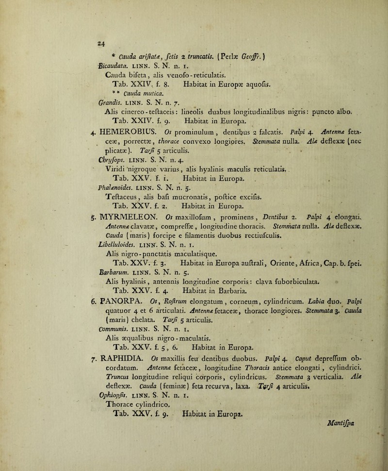 * Cauda ariflata, fetis z truncatis. (Perlae Geoffr.) Bicaudata. linn. S. N. n. i. Cauda bifeta, alis venofo- reticulatis. Tab. XXIV. f. 8. Habitat in Europae aquofts. * * Cauda mutica. Grandis. LINN. S. N. n. 7. Alis cinereo - teftaceis: lineolis duabus longitudinalibus nigris: puncto albo. Tab. XXIV. f. 9. Habitat in Europa. 4. HEMEROBIUS. Os prominulum , dentibus 2 falcatis. Palpi 4. Antenna feta- ceae, porrectae, thorace convexo longiores. Stemmata nulla. AU deflexae (nec plicatae). Tarji 5 articulis. chryfops. LINN. S. N. n. 4. Viridi ‘nigroque varius, alis hyalinis maculis reticulatis. Tab. XXV. f. i. Habitat in Europa. Phalanoides. LINN. S. N. n. 5. Tellaceus, alis bafi mucronatis, pollice excifis. Tab. XXV. f. 2. Habitat in Europa. 5. MYRMELEON. Os maxillofum , prominens , Dentibus 2. Palpi 4 elongati. Antenna clavatae, comprelfae, longitudine thoracis. Stemmata nulla. Ala deflexae. Cauda (maris) forcipe e filamentis duobus rectiufculis. Libelluloides. LINN. S. N. n. 1. Alis nigro-punctatis maculatisque. Tab. XXV. f. 3. Habitat in Europa auftrali, Oriente, Africa, Cap. b. fpei. Barbarum. LINN. S. N. n. 5. Alis hyalinis, antennis longitudine corporis: clava fuborbiculata. Tab. XXV. f. 4. Habitat in Barbaria. 6. PANORPA. Os, Rojlrum elongatum , corneum, cylindricum. Labia duo. Palpi quatuor 4 et 6 articulati. Antenna fetaceae, thorace longiores. Stemmata 3. Cauda (maris) chelata. Tarji 5 articulis. Communis. LINN. S. N. n. 1. Alis aequalibus nigro - maculatis. Tab. XXV. £5, 6. Habitat in Europa. 7. RAPHIDIA. Os maxillis feu dentibus duobus. Palpi 4. Caput depreflum ob- cordatum. Antenna fetaceae, longitudine Thoracis antice elongati , cylindrici. Truncus longitudine reliqui corporis, cylindricus. Stemmata 3 verticalia. AU deflexae, cauda (feminae) feta recurva, laxa. Tyrji 4 articulis. Ophiopjis. linn. S. N. n. r. Thorace cylindrico. Tab. XXV, f. 9. Habitat in Europa. Mantifpa