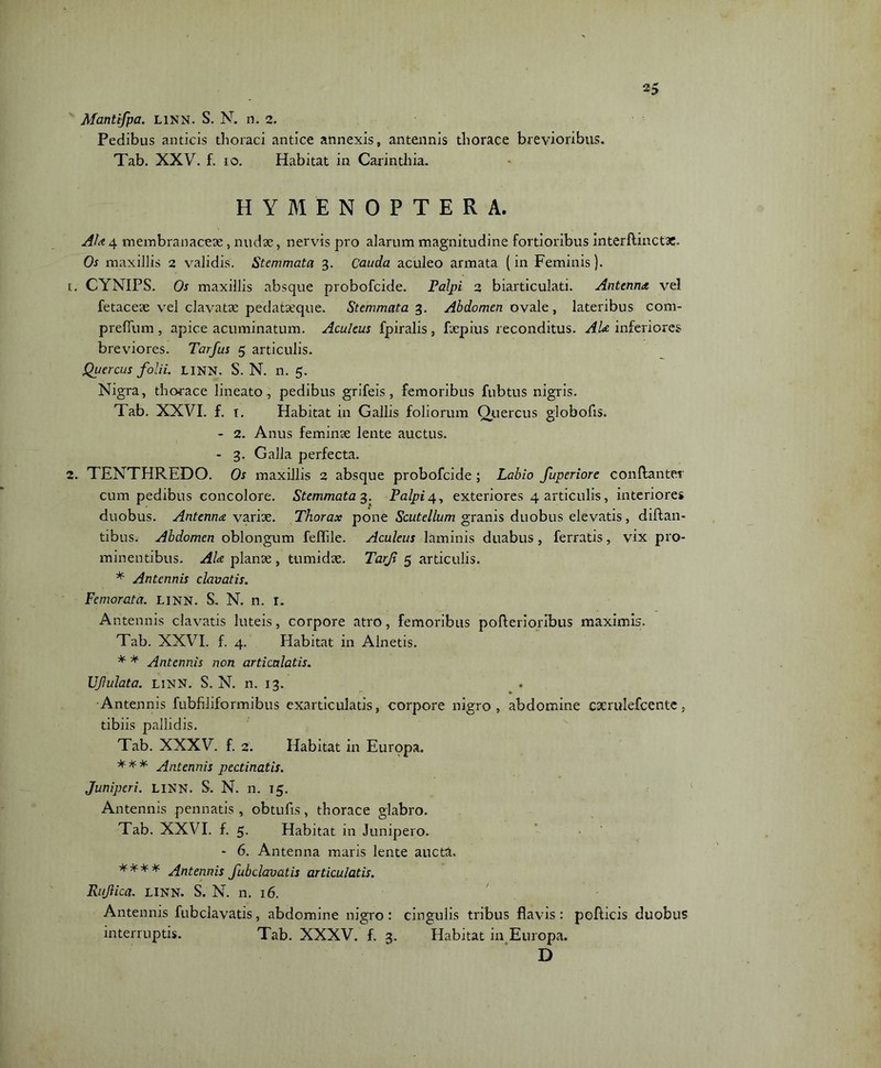 Afantifpa. linn. S. N. n. 2. Pedibus anticis thoraci antice annexis, antennis thorace brevioribus. Tab. XXV. f. io. Habitat in Carinthia. HYMENOPTERA. AU 4 membranaceae, nudae, nervis pro alarum magnitudine fortioribus interflinctx. Os maxillis 2 validis. Stemmata 3. Cauda aculeo armata (in Feminis). 1. CYNIPS. Os maxillis absque probofcide. Palpi 2 biarticulati. Antenna vel fetaceae vel clavatae pedataeque. Stemmata 3. Abdomen ovale, lateribus com- prefium , apice acuminatum. Aculeus fpiralis, fxpius reconditus. AU inferiores breviores. Tarfus 5 articulis. Quercus folii. LINN. S. N. n. 5. Nigra, thorace lineato, pedibus grifeis, femoribus fubtus nigris. Tab. XXVI. f. 1. Habitat in Gallis foliorum Quercus globofis. - 2. Anus feminae lente auctus. - 3. Galla perfecta. 2. TENTHREDO. Os maxillis 2 absque probofcide ; Labio fuperiore conflante* cum pedibus concolore. Stemmata a,. Palpi 4, exteriores 4 articulis, interiores duobus. Antenna varix. Thorax pone Scutellum granis duobus elevatis, diftan- tibus. Abdomen oblongum feflile. Aculeus laminis duabus, ferratis, vix pro- minentibus. AU planx , tumidx. Tarji 5 articulis. * Antennis clavatis. Femorata. linn. S. N. n. 1. Antennis clavatis luteis, corpore atro, femoribus pofterioribus maximis. Tab. XXVI. f. 4. Habitat in Alnetis. * * Antennis non articulatis. Ufulata. linn. S. N. n. 13. . •Antennis fubfiliformibus exarticulatis, corpore nigro, abdomine cxrulefcente, tibiis pallidis. Tab. XXXV. f. 2. Habitat in Europa. * * * Antennis pectinatis. Juniperi. LINN. S. N. n. 15. Antennis pennatis , obtufis, thorace glabro. Tab. XXVI. f. 5. Habitat in Junipero. - 6. Antenna maris lente aucta. **** Antennis fubclavatis articulatis. Rujlica. linn. S. N. n. 16. Antennis fubclavatis, abdomine nigro : cingulis tribus flavis: pofticis duobus interruptis. Tab. XXXV. f. 3. Habitat in Europa. D