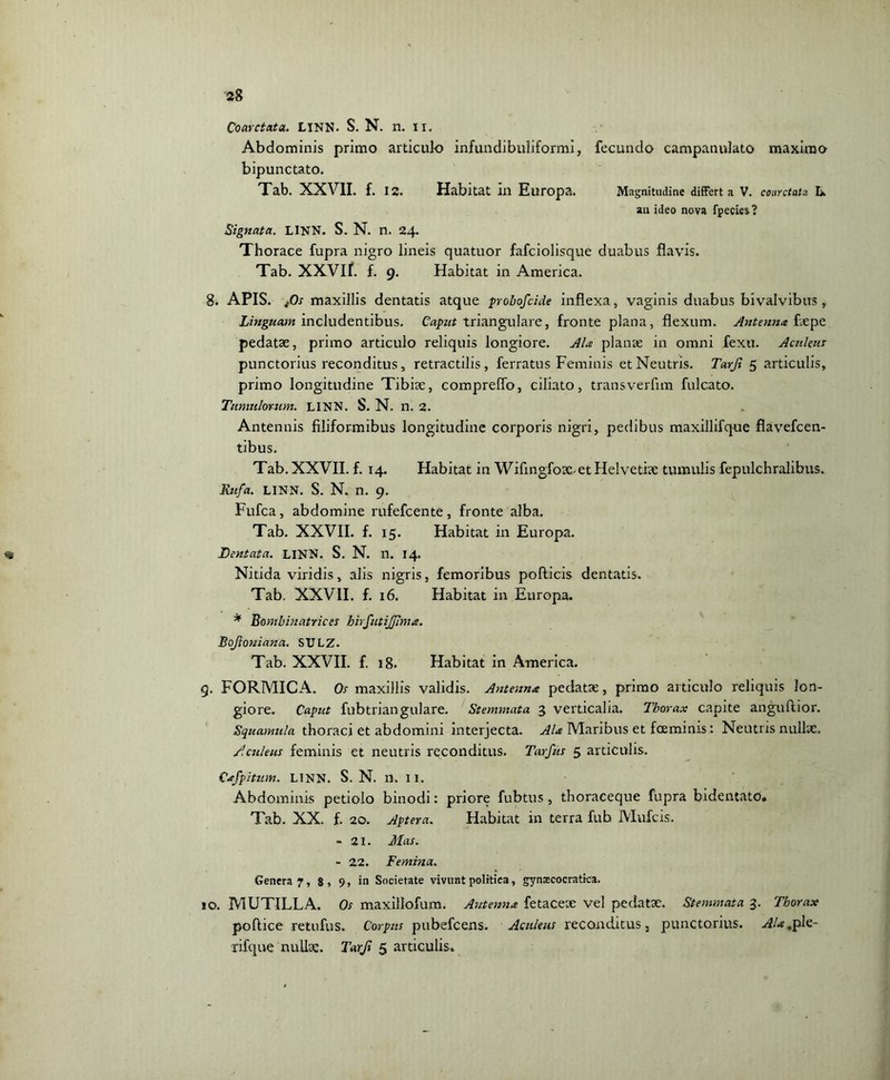 Coarctata. LINN. S. N. n. ii. Abdominis primo articulo infundibuliformi, fecundo campanulato maxima bipunctato. Tab. XXVII. f. 12. Habitat lll Europa. Magnitudine differta V. courctata L. au ideo ncva fpecies? Signata. LINN. S. N. n. 24. Thorace fupra nigro lineis quatuor fafciolisque duabus flavis. Tab. XXVII. f. 9. Habitat in America. 8. APIS. maxillis dentatis atque probofcide inflexa, vaginis duabus bivalvibus , Linguam includentibus. Caput triangulare, fronte plana, flexum. Antenna flepe pedatae, primo articulo reliquis longiore. Ala planae in omni fexu. Aculen: punctorius reconditus, retractilis, ferratus Feminis et Neutris. Tarji 5 articulis, primo longitudine Tibiae, compreflo, ciliato, transverfim filicato. Tumulorum. LINN. S. N. n. 2. Antennis filiformibus longitudine corporis nigri, pedibus maxillifque flavefcen- tibus. Tab. XXVII. f. 14. Habitat in Wifingfoac-et Helvetiae tumulis fepulchralibus. Rufa. linn. S. N. n. 9. Fufca, abdomine rufefcente, fronte alba. Tab. XXVII. f. 15. Habitat in Europa. « Dentata. LINN. S. N. n. 14. Nitida viridis, alis nigris, femoribus pofticis dentatis. Tab. XXVII. f. 16. Habitat in Europa. * Bombinatriccs hirfutijjima. Bojloniana. SULZ. Tab. XXVII. f. 18. Habitat in America. 9. FORMICA. Os maxillis validis. Antenna pedatae, primo articulo reliquis lon- giore. Caput fubtriangulare. Stemmata 3 verticalia. Tborax capite anguftior. Squamula thoraci et abdomini interjecta. Ala Maribus et fcemims: Neutris nullae. Aculeus feminis et neutris reconditus. Tarfiis 5 articulis. Cxfpitum. LINN. S. N. n. II. Abdominis petiolo binodi: priore fubtus, thoraceque fupra bidentato» Tab. XX. f. 20. Aptera. Habitat in terra fub Mufcis. - 21. Mas. - 22. Femina. Genera 7, 8 , 9, in Societate vivunt politica, gynascocratica. 10. MUTILLA. Os maxillofum. Antenna fetaceae vel pedatae. Stemmata 3. Tborax podice retufus. Corpus pubefcens. Aculeus reconditus, punctorius. AU .ple- rifque nullae. Tarji 5 articulis»