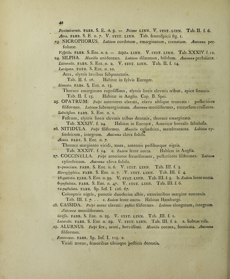 Pectinicornis. FABR. S. E. rh 3. — Ptinus LINN. V. SYST. LINN. Tab. II. f. 6. Atra. fabr. S. E. n. 7. V. syst. LINN. Tab. frontifpicii fig. 1. 53. NICROPHORUS. Labium cordatum , emarginatum, crenatum. Antenna per- foliatse. Vefpillo. FABR. S.Ent. n. 2. — Silpba. LINN. V. SYST. LINN. Tab. XXXIV. f. 12. 24. SILPHA. Maxilla unidentata. Labium dilatatum, bifidum. Antenna perfoliatse. ■ Littoralis. FABR. S. Ent. n. 2. V. SYST. LINN. Tab. II. f. 14. Lavigata. FABR. S. Ent. n. IO. Atra, elytris laevibus fubpunctatis. Tab. II. f. 16. Habitat in fylvis Europx. Sinuata. FABR. S.. Ent. n. 13. Thorace emarginato rugofiffimo , elytris lineis elevatis tribus, apice firmatis. Tab. II. f. 15. Habitat in Anglia. Cap. B. Spei. 25. OPATRUM. Palpi anteriores clavati, clava oblique truncata: pofleriores filiformes. Labium fubemarginatum. Antenna moniliformes,. extrorfum c ralliores. Sabulofum. FABR. S. Ent. n. I. Fufcum, elytris lineis elevatis tribus dentatis, thorace emarginato. Tab. XXXIV. f. 24. Habitat in Europx , America borealis fabulofis. 26. NITIDULA. Palpi filiformes. Maxilla cylindrica, membranacea. Labiam cy- lindricum , integrum. Antenna clava folida. Aenea. FABR. S. Ent. n. 7. Thorace marginato viridi, cenea, antennis pedibusque nigris. Tab. XXXIV. f. 14. e. Eadem lente aucta. Habitat in Anglia. 27. COCCINELLA. Palpi anteriores fecuriformes , pofleriores filiformes. Labium cylindricum. Antenna clava folida. 2-punctata. FABR. S. Ent. n. 6. V. SYST. LINN. Tab. III. f. 3. Hieroglypbica. FABR. S. Ent. n. 7. .V. SYST. LINN. Tab. III. f. 4. ‘ \6-guttata. fabr. S. Ent. n.39. V. syst. LINN. Tab. III. f-5. b. Eadem lente aucta. 6-puJlulata, FABR. S. Ent. n. 47. V. SYST. LINN. Tab. III. f. 6. 12-pufiulata. FABR. Sp. Inf. I. 106. 67. Coleoptris nigris, punctis duodecim albis, exterioribus margine connexis. Tab. III. f. 7. . . c. Eadem lente aucta. Habitat Hamburgi. 28. CASSIDA. Palpi antici clavati: pojlici filiformes. Labium elongatum, integrum. Antenna moniliformes. Grojffa. FABR. S. Ent. n. 25. V. SYST. LINN. Tab. III. f. I. Lateralis, fabr. S. Ent. n. 29. V. syst. linn. Tab. III. f. 2. a. Subtus vifa. 29. ALURNUS. Palpi fex, acuti, breviffimi. Maxilla cornea, fornicata. Antenna filiformes. Femoratus. FABR. Sp. Inf. I. 115. 2. Viridi aeneus, femoribus tibiisque pofticis dentatis.