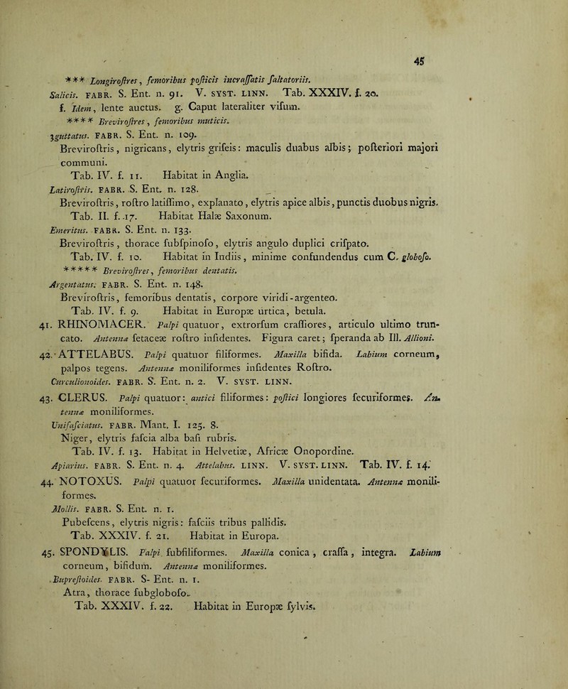 *** Longirojlres, femoribus pojlicis incr affatis f ait at oriis. Salicis. FABR. S. Ent. n. 91. V. SYST. LINN. Tab. XXXIV. f. 20. f. Idem, lente auctus, g. Caput lateraliter vifum. **** Brevirojlres, femoribus muticis. \guttatus. FABR. S. Ent. n. 109» Breviroftris, nigricans, elytris grifeis: maculis duabus albis; pofteriori majori communi. Tab. IV. £ xi. Habitat in Anglia. Latirojlris. FABR. S. Ent. n. 128. Breviroftris, roftro latiflimo, explanato, elytris apice albis, punctis duobus nigris. Tab. II. f. .17. Habitat Halae Saxonum. Emeritus. FABR. S. Ent. n. 133. Breviroftris, thorace fubfpinofo, elytris angulo duplici crifpato. Tab. IV. f. 10. Habitat in Indiis, minime confundendus cum C. globofo. ****:£ Brevirojlres, femoribus dentatis. Argentatus. FABR. S. Ent. n. 148. Breviroftris, femoribus dentatis, corpore viridi-argenteo. Tab. IV. f. 9. Habitat in Europae urtica, betula. 41. RHINOMACER. Palpi quatuor, extrorfum craftiores, articulo ultimo trun» cato. Antenna fetaceae roftro inftdentes. Figura caret; fperanda ab 111. Allioni. 42. • ATTELABUS. Palpi quatuor filiformes. Maxilla bifida. Labium corneum, palpos tegens. Antenna moniliformes inftdentes Roftro. Ctirculionoid.es. FABR. S. Ent. n. 2. V. SYST. LINN. 43. CLERUS. Palpi quatuor: antici filiformes: pojlici longiores fecuriformes. An» tenna moniliformes. Unifafciatus. FABR. Mant. I. 125. 8. Niger, elytris fafcia alba bafi rubris. Tab. IV. f. 13. Habitat in Helvetiae, Africae Onopordine. Apiarius. FABR. S. Ent. n. 4. Attelabus. LINN. V. SYST. LINN. Tab. IV. f. 14.' 44. NOTOXUS. Palpi quatuor fecuriformes. Maxilla unidentata. Antenna monili- formes. Mollis, fab R. S. Ent. n. r. Pubefcens, elytris nigris: fafciis tribus pallidis. Tab. XXXIV. f. 21. Habitat in Europa. 45. SPONDYLIS. Palpi fubfiliformes. Maxilla conica, craffa, integra. Labium corneum, bifidum. Antenna moniliformes. Buprejloides. FABR. S- Ent. n. I. Atra, thorace fubglobofo.. Tab. XXXIV. f. 22. Habitat in Europae fylvis.