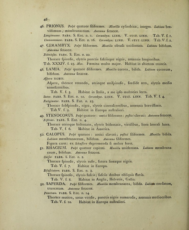 46'- 46. PRIONUS. Palpi quatuor filiformes. Maxilla cylindrica, integra. Labium bre- villimum , membranaceum. Antenna fetacese. Longimanus. FABR. S. Ent. n. I. Cerambyx. LINN. V. SYST. LINN. Tab. V. f. I. Cinnamomeus. FABR. S. Ent. n. l6. Cerambyx. LINN. V. SYST. LINN. Tab.V. f. 2. 47. CERAMBYX. Palpi filiformes. Maxilla obtufa unidentata. Labium bifidum. Antenna fetacese. Nebulojus. FABR. S. Ent. n. 20. Thorace fpinofo, elytris punctis fafciisque nigris, antennis longioribus. Tab. XXXIV. f. 23. Mas. Ecemina multo major. Habitat in abietum truncis. 48. LAMIA. Palpi quatuor filiformes. Maxilla cornea, bifida. Labium corneum, bifidum. Antenna fetacese. Aspera NOBIS. Afpera, thorace rotundo, utrinque unifpinofo , fordide atra, elytris medio tumefcentibus. Tab. V. f. 3. Habitat in Italia, a me ipfo multoties lecta. Sutor. FABR. S. Ent. n. IO. Cerambyx. LINN. V. SYST. LINN. Tab. V. f. 4. Fu/iginator. FABR. S. Ent. n. 23. Thorace fubfpinofo, nigra, elytris cinerafcentibus, antennis breviifimis. Tab V. f. 9. Habitat in Europa auftraliori. 49. STENOCORUS. Palpi quatuor : antici filiformes : pojlici clavati: Antenna fetaceae. Fejfivus. FABR. S. Ent. n. 4. Thorace utrinque bidentato, elytris bidentatis, viridibus, linea laterali lutea. Tab. V. f. 6. Habitat in America. 50. CALOPUS. Palpi quatuor: antici clavati; pojlici filiformes. Maxilla bifida. Labium membranaceum, bifidum. Antenna filiformes. Figura caret: ex Scbajfero depromenda fi melior foret. 51. RHAGIUM. Palpi quatuor capitati. Maxilla unidentata. Labium membrana- ceum , bifidum. Antenna fetacese. Curfor FABR. S. Ent. n. 2. Thorace fpinofo , elytris rufis , futura lineaque nigris. Tab. V. f. 7. Habitat in Europa. Bifafciatum. FABR. S. Ent. n. 3. Thorace fpinofo , elytris fufcis ; fafciis duabus obliquis flavis. Tab. V. f. 8. Habitat in Anglia, Helvetia, Gallia. 52. SAPERDA. Palpi filiformes. Maxilla membranacea, bifida. Labium cordatum, truncatum. Antenna fetaceae. Punctata. FABR. S. Ent. n. 14. . Thorace mutico, totus viridis, punctis nigris numerofis, antennis mediocribus.