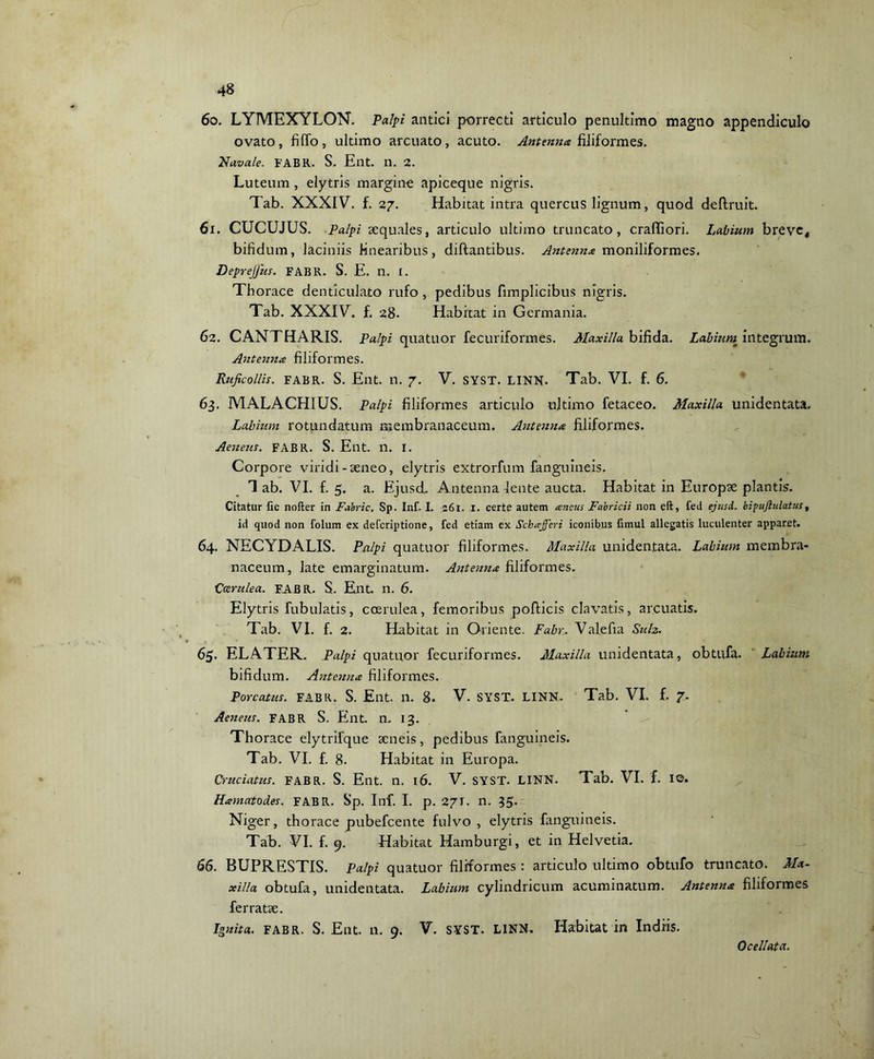 60. LYMEXYLON. Palpi antici porrecti articulo penultimo magno appendiculo ovato, fiffo, ultimo arcuato, acuto. Antenna filiformes. Navale. FABR. S. Ent. n. 2. Luteum, elytris margine apiceque nigris. Tab. XXXIV. f. 27. Habitat intra quercus lignum, quod de It ruit. 61. CUCUJUS. Palpi aequales, articulo ultimo truncato, craffiori. Labium breve, bifidum, laciniis linearibus, diftantibus. Antenna moniliformes. DepreJJus. FABR. S. E. n. I. Thorace denticulato rufo, pedibus fimplicibus nigris. Tab. XXXIV. f. 28- Habitat in Germania. 62. CANTHARIS. Palpi quatuor fecuriformes. Maxilla bifida. Labium integrum. Antenna filiformes. Ruficollis. FABR. S. Ent. n. 7. V. SYST. LINN. Tab. VI. f. 6. 63. MALACHIUS. Palpi filiformes articulo ultimo fetaceo. Maxilla unidentata. Labium rotundatum membranaceum. Antenna filiformes. Aeneus. FABR. S. Ent. n. I. Corpore viridi-aeneo, elytris extrorfum fanguineis. 1 ab. VI. f. 5. a. Ejusd. Antenna lente aucta. Habitat in Europae plantis. Citatur fic nofter in Fabric. Sp. Inf. I. 261. 1. certe autem ancus Fabricii non eft, feti ejusd. bipuftulatust id quod non folum ex deferiptione, fed etiam ex Schafferi iconibus firnul allegatis luculenter apparet. 64. NECYDALIS. Palpi quatuor filiformes. Maxilla unidentata. Labium membra- naceum, late emarginatum. Asitenna filiformes. Coerulea. FABR. S. Ent. n. 6. Elytris Tubulatis, coerulea, femoribus pofficis clavatis, arcuatis. Tab. VI. f. 2. Habitat in Oriente. Fabr. Valefia Suh. 65. ELATER. Palpi quatuor fecuriformes. Maxilla unidentata, obtufa. Labium bifidum. Antenna filiformes. Porcatus. FABR. S. Ent. 11. 8. V. SYST. LINN. Tab. VI. f. 7. Aeneus. FABR S. Ent. n. 13. Thorace elytrifque aeneis, pedibus fanguineis. Tab. VI. f. 8. Habitat in Europa. Cruciatus. FABR. S. Ent. n. 16. V. SYST. LINN. Tab. VI. f. IO. Hamatodes. FABR. Sp. Inf. I. p. 271. n. 35. Niger, thorace pubefeente fulvo , elytris fanguineis. Tab. VI. f. 9. Habitat Hamburgi, et in Helvetia. 66. BUPRESTIS. Palpi quatuor filiformes : articulo ultimo obtufo truncato. Ma- xilla obtufa, unidentata. Labium cylindricum acuminatum. Antenna filiformes ferratae. Ignita, fabr. S. Ent. n. 9. V. SYST. LINN. Habitat in Indiis. Ocellata.