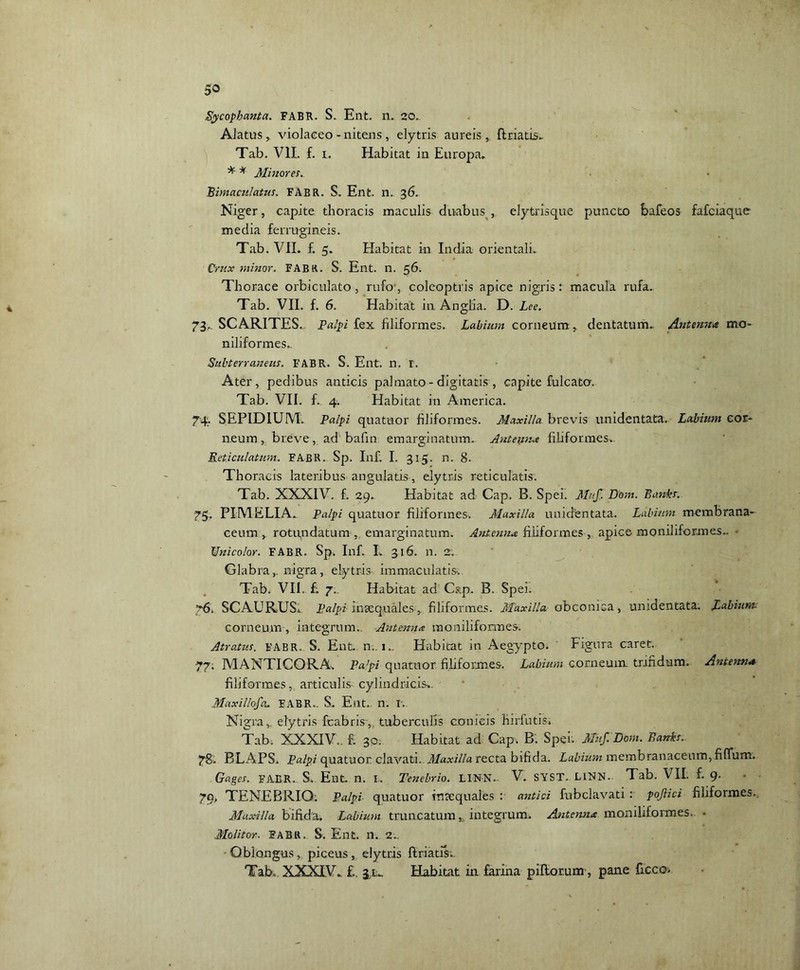 Alatus, violaceo - nitens, elytris aureis , ftriatis.. Tab. VII. f. i. Habitat in Europa. * * Minores. Bimaculatus. FABR. S. Ent. n. 36. Niger, capite thoracis maculis duabus , elytrisque puncto Bafeos fafciaque media ferrugineis. Tab. VII. f. 5. Habitat in India orientali. Crux minor. FABK. S. Ent. n. 56. Thorace orbiculato, rufo, coleoptris apice nigris: macula rufa. Tab. VII. f. 6. Habitat in Anglia. D. Lee. 73.. SCARITES. Palpi fex filiformes. Labium corneum, dentatum. Antenna mo- niliformes.. Subterraneus. FABR. S. Ent. n. r. Ater, pedibus anticis palmato - digitatis , capite fulcato. Tab. VII. f. 4. Habitat in America. 74. SEPIDIUM. Palpi quatuor filiformes. Maxilla brevis unidentata. Labium cor- neum , breve, ad bafin emarginatum. Antenna filiformes. Reticulatum. FABR. Sp. Inf. I. 315. n. 8. Thoracis lateribus angulatis, elytris reticulatis. Tab. XXXIV. f. 29. Habitat ad Cap. B. Spei. Muf, Dom. Banks. 75. PIMELIA. Palpi quatuor filiformes. Maxilla unidentata. Labium membrana- ceum, rotundatum , emarginatum. Antenna filiformes , apice moniliformes.. ■ Unicolor. FABR. Sp. Inf. I. 316. n. 2. Glabra,, nigra, elytris immaculatis. Tab. VII. f; 7.. Habitat ad Csp. B. Spei. 76. SC A URUS i Palpi inaequalesfiliformes. Maxilla obconica , unidentata. Labium. corneum , integrum. Antenna moniliformes. Atratus, fabr. S. Ent. n.. 1.. Habitat in Aegypto. Figura caret. 77. MANTICORA. Pa;pi quatuor filiformes. Labium corneum, trindum. Antenna filiformes, articulis cylindricis.. Maxillofa. EABR.. S. Ent. n. r. Nigra,, elytris fcabris, tuberculis conicis hirfutis, Tab; XXXIV., f. 30; Habitat ad Gap. B. Spei. Muf. Dom. Banks. 78. BLAPS. Palpi quatuor clavati. .Maxilla recta bifida. Labium membranaceum, fifium. Gages. FABR. S. Ent. n. I. Tenebrio. LINN.. V. SYST. L1NN. Tab. VII. £9. • 79. TENEBRIO. Palpi quatuor imequales : antici fubclavati: poflici filiformes. Maxilla bifida. Labium truncatum „ integrum. Antenna moniliformes, • Molitor. FABR. S. Ent. n. 2.. Oblongus, piceus, elytris ftriatis;. Tab. XXXIV. £. 31:.. Habitat in farina piftorum, pane ficco.