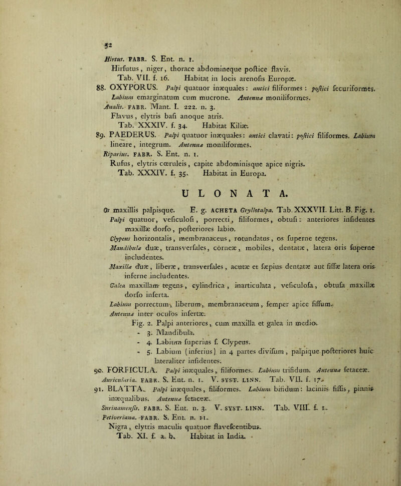Hirtus. FABR. S. Ent. n. i. Hirfutus, niger, thorace abdomineque pollice flavis. Tab. VII. f. i6. Habitat in locis arenofis Europae. 88- OXYPORUS. Palpi quatuor inaequales: antici filiformes : pojlici fecuriformes. Labium emarginatum cum mucrone. Antenna moniliformes. Analis. FABR. Mant. I. 222. n. 3. Flavus , elytris bafl anoque atris. Tab. XXXIV. f. 34. Habitat Kiliae-. 89. PAEDERUS. Palpi quatuor inaequales: antici clavati: pojlici filiformes. Labium. lineare, integrum. Antenna moniliformes. Riparius. FABR. S. Ent. n. I. Rufus, elytris cceruleis, capite abdominisque apice nigris. Tab. XXXIV. f. 35. Habitat in Europa. U L O N A T A. Os maxillis palpisque. E. g. acheta Gryllotalpu. Tab. XXXVII. Litt. B. Fig. 1. Palpi quatuor, veficulofi, porrecti, filiformes, obtufi : anteriores infidentes maxillae dorfo, pofteriores labio. Clypeus horizontalis, membranaceus, rotundatus, os fuperne tegens. Mandibula duae, transverfales, corneae, mobiles, dentatae, latera oris fuperne includentes. Maxilla chiae, liberae, transverfales, acutae et faepius dentatae aut fidae latera oris inferne includentes. Galea maxillam tegens, cylindrica , inarticulata ,. veficulofa, obtufa maxillae dorfo inferta. Labium porrectum-, liberum-, membranaceum, femper apice fidum,; Antenna inter oculos infertae: Fig. 2. Palpi anteriores, cum maxilla et galea in medio.. - 3. Mandibula-. - 4. Labium- fuperius f. Clypeus. - 5. Labium (inferius) in 4 partes divifum , palpique. pofteriores huic lat-eraliter infidentes: 90. FORFICULA. Palpi inaequales,, filiformes.. Labium trifidum. Antenna fetaeeae. Auricularia. FABR. S. Ent. n. I.. V. SYST. LI-NN. Tab. VII, f.. 17.» 91. BLATTA_ palpi inaequales, filiformes. Labium bifidum: laciniis fidis , pinnis inaequalibus. Antenna fetaceae., Surinamenjis. FABR. S. Eil.t. n. 3. V. SYST. LIN-N. Tab. VIII,. £ Petiveriana. FABR. S. Ent. n. IU.. Nigra, elytris maculis quatuor flavefcentibus. Tab. XI. £ a. b» Habitat in India- •