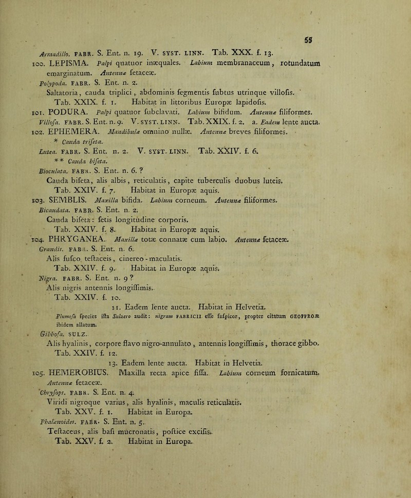 Armadillo. FABR. S. Ent. n. 19. V. SYST. LINN. Tab. XXX. f. 13. 100. LEPISMA. Palpi qnatuor inaequales. Labium membranaceum, rotundatum emarginatum. Antenna fetaceae. Polypoda. FABR. S. Ent. n. 2. Saltatoria, cauda triplici, abdominis fegmentis fubtus utrinque villofis. Tab. XXIX. f. 1. Habitat in littoribus Europae lapidofis. eoi. PODURA. Palpi quatuor fubclavati. Labium bifidum. Antenna filiformes. Villofa. FABR. S. Ent. n. 9. V. SYST. LINN. Tab. XXIX. f. 2. a. Eadem lente aucta. 102. EPHEMERA. Mandibula omnino nullae. Antenna breves filiformes. * Cauda trifeta. Lutea. FABR. S. Ent. n. 2. V. SYST. LINN. Tab. XXIV. f. 6. Cauda bifeta. Bioculata. FABR. S. Ent. n. 6. ? Cauda bifeta, alis albis, reticulatis, capite tuberculis duobus luteis. Tab. XXIV. f. 7. Habitat in Europae aquis. 103. SEMBLIS. Maxilla bifida. Labium corneum. Antenna filiformes. Bicaudata. FABR. S. Ent. n. 2. Cauda bifeta : fetis longitudine corporis. Tab. XXIV. f. 8. Habitat in Europae aquis. 104. PHRYGANEA.. Maxilla totae connatae cum labio. Antenna fetacese. Grandis. FABR. S. Ent. n. 6. Alis fufco teflaceis , cinereo-maculatis. Tab. XXIV. f. 9, Habitat in Europae aquis. Eligra. FABR. Si Ent. n. 9 ? Alis nigris antennis longiflfimis. Tab. XXIV. f. 10. 11. Eadem lente aucta. Habitat in Helvetia. Plumo f a fpecies ifta Sulzero audit: nigram fabricii effe fufpicor, propter citatum GEOFFRO.E ibidem allatum. Gibbofa. SULZ. Alis fiyalinis, corpore flavo nigro-annulato , antennis longiffimis, thorace gibbo. Tab. XXIV. f. 12. 13. Eadem lente aucta. Habitat in Helvetia. 105. HEMEROBIUS. Maxilla recta apice fiffa. Labium corneum fornicatum. Antenna fetaceae. ' Chryfops. FABR. S. Ent. n. 4. Viridi nigroque varius, alis hyalinis, maculis reticulatis. Tab. XXV. f. 1. Habitat in Europa. Pbalanoides. FABR. S. Ent. n. 5.. Teftaceus, alis bafi mucronatis, poftice excifis» Tab. XXV. f. 2. Habitat in Europa.