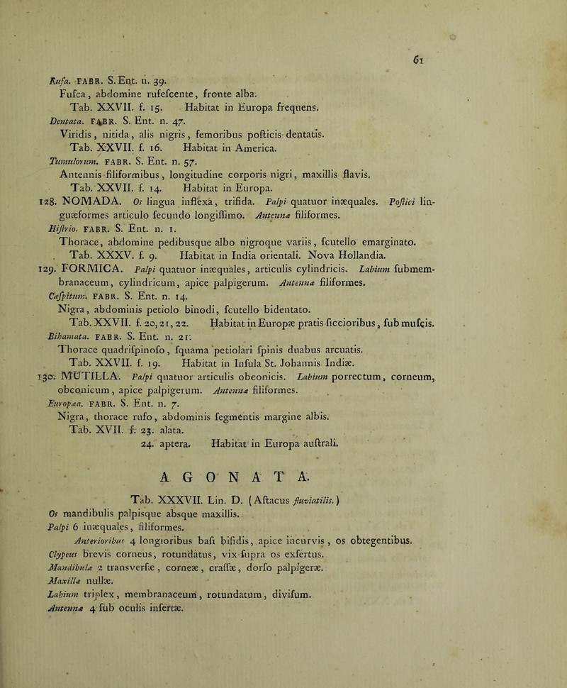 Rufa. FABR. S.Ent. n. 39. Fufca, abdomine rufefcente, fronte alba. Tab. XXVII. f. 15. Habitat in Europa frequens. Dentata. F4BR. S. Ent. n. 47. Viridis, nitida, alis nigris, femoribus pofticis dentatis. Tab. XXVII. f. 16. Habitat in America. Tumulorum. FABR. S. Ent. n. 57. Antennis filiformibus , longitudine corporis nigri, maxillis flavis. Tab. XXVII. f. 14. Habitat in Europa. 128. NOMADA. Os lingua inflexa, trifida. Palpi quatuor inaequales. Poflici lin- guaeformes articulo fecundo longiflimo. Antenna filiformes. Hijirio. FABR. S. Ent. n. I. Thorace, abdomine pedibusque albo nigroque variis, fcutello emarginato. Tab. XXXV. f. 9. Habitat in India orientali. Nova Hollandia. 129. FORMICA. Palpi quatuor inaequales, articulis cylindricis. Labium fubmem- branaceum, cylindricum, apice palpigerum. Antenna filiformes. CafpitutrA FABR. S. Ent. n. 14. Nigra, abdominis petiolo binodi, fcutello bidentato. Tab. XXVII. f. 20,21,22. Habitat inEuropae pratis Aecioribus, fub mufqis. Eihamata. FABR. S. Ent. n. 21'. Thorace quadrifpinofo, fquama petiolari fpinis duabus arcuatis. Tab. XXVII. f. 19. Habitat in Infula St. Johannis Indiae. 130: MUTILE A. Palpi quatuor articulis obconicis. Labium porrectum, corneum, obconicum , apice palpigerum. Antenna filiformes. Europa a. FABR. S. Ent. n. 7. Nigra, thorace rufo, abdominis fegmentis margine albis. Tab. XVII. f. 23. alata. 24. aptera. Habitat in Europa auftrali. AGON A T A. Tab. XXXVII. Lin. D. (Aftacus fluviatilis.) Os mandibulis palpisque absque maxillis. Palpi 6 inaequales, filiformes. Anterioribus 4 longioribus bafi bifidis, apice incurvis, os obtegentibus. Clypeus brevis corneus, rotundatus, vix fupra os exfertus. Mandibula 2 transverLe , corneae, craffae, dorfo palpigerae. Maxilla nullae. Labium triplex, membranaceum, rotundatum, divifum.