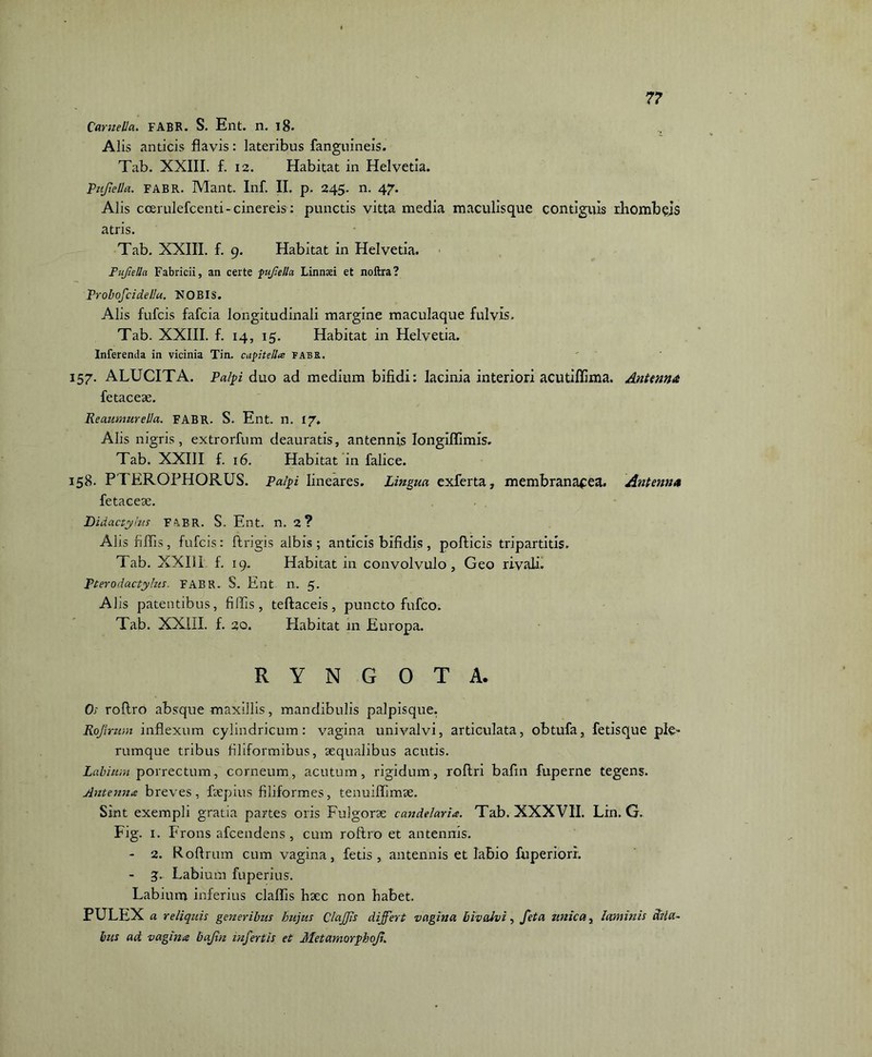 Camella. FABR. S. Ent. n. 18. Alis anticis flavis: lateribus fanguineis. Tab. XXIII. f. 12. Habitat in Helvetia. Pujiella. FABR. Mant. Inf. II. p. 245. n. 47. Alis ccerulefcenti-cinereis: punctis vitta media maculisque contiguis rhombeis atris. Tab. XXIII. f. 9. Habitat in Helvetia. Pujiella Fabricii, an certe pujiella Linnxi et noftra? Probofcidellu. NOBIS. Alis fulcis fafcia longitudinali margine maculaque fulvis. Tab. XXIII. f. 14, 15. Habitat in Helvetia. Inferenda in vicinia Tin. capitella fabr. 157. ALUCITA. Palpi duo ad medium bifidi: lacinia interiori acutiflima. Antenna fetaceae. Reaumurella. FABR. S. Ent. n. 17. Alis nigris, extrorfum deauratis, antennis Iongiffimis. Tab. XXIII f. 16. Habitat in falice. 158. PTEROPHORUS. Palpi lineares. Lingua exferta, membranacea. Antenna fetaceae. Didactyius Fft.BR. S. Ent. n. 2 ? Alis filiis, fufcis: ftrigis albis; anticis bifidis, pollicis tripartitis, Tab. XXIII f. 19. Habitat in convolvulo, Geo rivali. Pterodactylus. FABR. S. Ent n. 5. Alis patentibus, filfis, tellaceis, puncto fufco. Tab. XXIII. f. 20. Plabitat in Europa. R Y N G 0 T A. Os roftro absque maxillis, mandibulis palpisque. Rojirwn inflexum cylindricum: vagina univalvi, articulata, obtufa, fetisque ple- rumque tribus filiformibus, aequalibus acutis. Labium porrectum, corneum, acutum, rigidum, rollri bafin fuperne tegens. Antenna breves, fiepius filiformes, tenuilfimae. Sint exempli gratia partes oris Fulgorae candelaria. Tab. XXXVII. Lin. G, Fig. 1. Frons afcendens , cum roftro et antennis. - 2. Roftrum cum vagina, fetis, antennis et labio fuperiori. - 3. Labium fuperius. Labium inferius claffis haec non babet. PULEX a reliquis generibus hujus ClaJJis differt vagina bivalvi, feta unica, laminis Ssici- bus ad vagina bajin infertis et Metamorphofi.