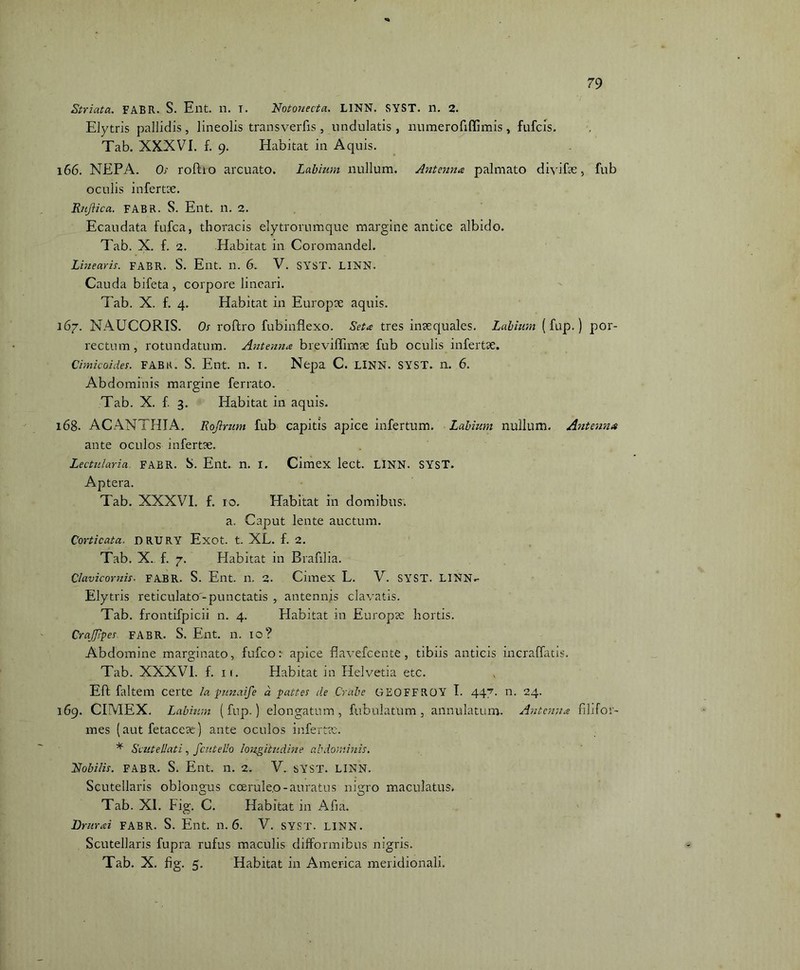 Striata. FABR. S. Ent. n. I. Notonecta. LINN. SYST. n. 2. Elytris pallidis, lineolis transverfis , undulatis , numerofiffimis, fufcis. Tab. XXXVI. f. 9. Habitat in Aquis. 166. NEPA. Os roftto arcuato. Labium nullum. Antenna palmato diyifae, fub oculis infertae. Rujiica. FABR. S. Ent. n. 2. Ecaudata fufca, thoracis elytrorumque margine antice albido. Tab. X. f. 2. Habitat in Coromandel. Linearis. FABR. S. Ent. n. 6. V. SYST. LINN. Cauda bifeta , corpore lineari. Tab. X. f. 4. Habitat in Europae aquis. 167. NAUCORIS. Os roftro fubinflexo. Seta tres inaequales. Labium (fup.) por- rectum , rotundatum. Antenna breviffimae fub oculis infertae. Cimicoid.es. FABR. S. Ent. n. I. Nepa C. LINN. SYST. n. 6. Abdominis margine ferrato. Tab. X. f. 3. Habitat in aquis. 168. ACANTHI A. Rojirum fub capitis apice infertum. Labium nullum. Antenna ante oculos infertae. Lectularia fabr. S. Ent. n. i. Cimex lect. LINN. SYST. Aptera. Tab. XXXVI. f. 10. Habitat in domibus. a. Caput lente auctum. Corticata. DRURY Exot. t. XL. f. 2. Tab. X. f. 7. Habitat in Brafilia. Clavicornis. FABR. S. Ent. n. 2. Cimex L. V. SYST. LINN.- Elytris reticulato-punctatis , antennis clavatis. Tab. frontifpicii n. 4. Habitat in Europae hortis. CraJJlpes FABR. S. Ent. n. 10? Abdomine marginato, fufco: apice flavefcente , tibiis anticis incraffatis. Tab. XXXVI. f. 11. Habitat in Helvetia etc. Eft faltem certe la punaife a pattes de Crabe GEOFFROY I. 44T- n. 24. 169. CIMEX. Labium (fup.) elongatum , fubulatum , annulatum. Antenna filifor- mes (aut fetaceae) ante oculos infertae. * Scutellati, fcutello longitudine abdominis. Nobilis. FABR. S. Ent. n. 2. V. SYST. LINN. Scutellaris oblongus ccerule.o-auratus nigro maculatus. Tab. XI. Fig. C. Habitat in Afia. Drurai FABR. S. Ent. n. 6. V. SYST. LINN. Scutellaris fupra rufus maculis difformibus nigris. Tab. X. fig. 5. Habitat in America meridionali.
