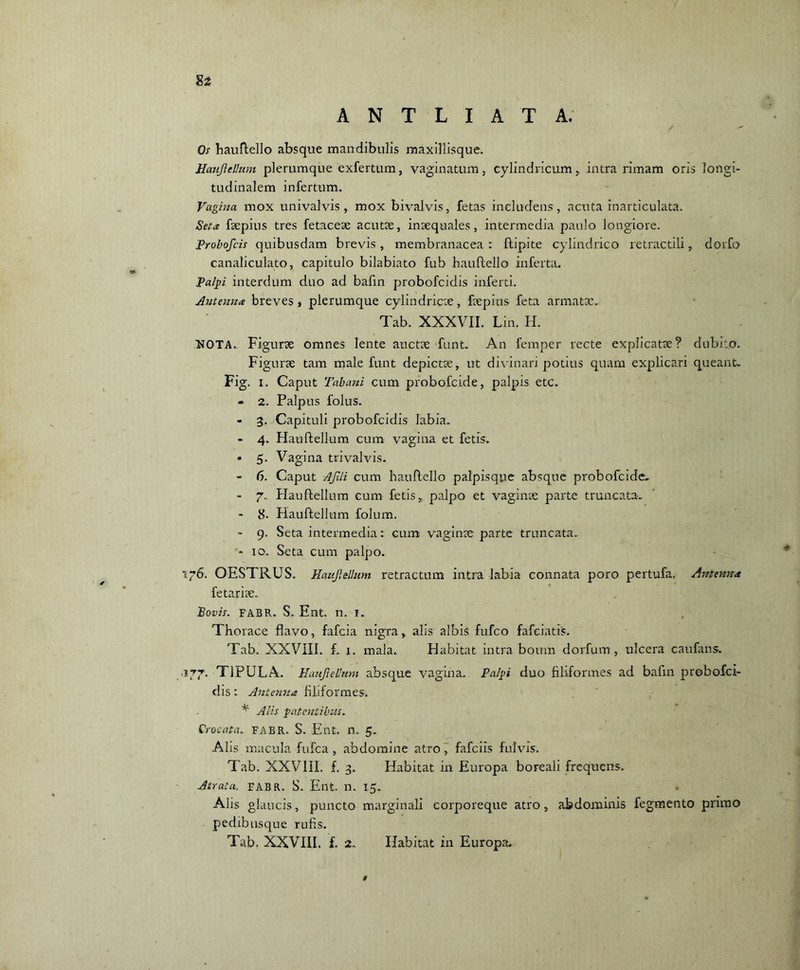 A N T L I A T A. Os hauftello absque mandibulis maxillisque. Haujiellum plerumque exfertum, vaginatum, cylindricum,, intra rimam oris longi- tudinalem infertum. Vagina mox univalvis , mox bivalvis, fetas includens, acuta inarticulata. Seta fsepius tres fetaceae acutae, inaequales, intermedia paulo longiore. Probofcis quibusdam brevis , membranacea : ftipite cylindrico retractili, dorfo canaliculato, capitulo bilabiato fub hauftello inferta. Palpi interdum duo ad bafin probofcidis inferti. Antenna breves, plerumque cylindricae, faepius feta armatae. Tab. XXXVII. Lin. H. NOTA. Figurae omnes lente auctae funt. An femper recte explicatae? dubito. Figurae tam male funt depictae, ut divinari potius quam explicari queant. Fig. i. Caput Tabani cum probofcide, palpis etc. - 2. Palpus folus. - 3. Capituli probofcidis labia.. - 4. Hauftellum cum vagina et fetis. • 5. Vagina trivalvis. - 6. Caput AJUi cum hauftello palpisque absque probofcide. - 7.. Hauftellum cum fetis,, palpo et vaginae parte truncata. - 8. Hauftellum folum. - 9. Seta intermedia: cum vaginae parte truncata. - 10. Seta cum palpo. 176. OESTRUS. Haujiellum retractum intra labia connata poro pertufa. Antenna fetariae.. Bovis. FABR. S. Ent. n. r. Thorace flavo, fafcia nigra, alis albis fufco fafciatis. Tab. XXVIII. f. 1. mala. Habitat intra boum dorfum, ulcera caufans. 177. T1PULA. HaufTellum absque vagina. Palpi duo filiformes ad bafin probofci- dis : Antenna filiformes. * Alis patentibus. Crocata„ FABR. S. Ent. n. 5.. Alis macula fufca , abdomine atro, fafciis fulvis. Tab. XXVIII. f. 3. Habitat in Europa boreali frequens. Atrata. FABR. S. Ent. n. 15. Alis glaucis, puncto marginali corporeque atro, abdominis fegmento primo pedibusque rufis. Tab. XXVIII. f. 2. Habitat in Europa.