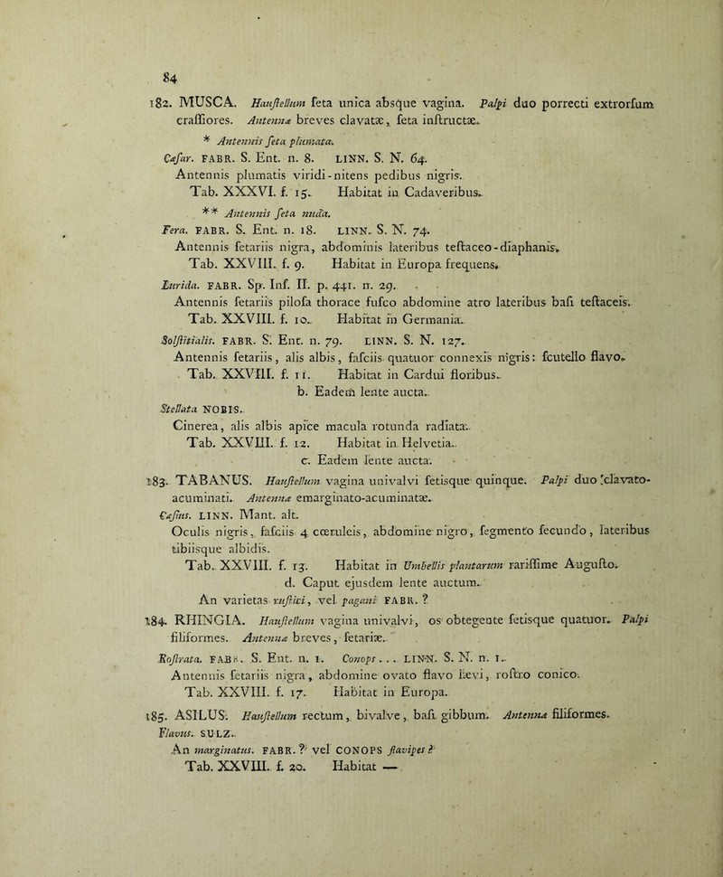 182. MUSCA. Hauftellum feta unica absque vagina. Palpi duo porrecti extrorfum craffiores. Antenna breves clavatx, feta inftructae» * Antennis feta plumata. Qafar. FABR. S. Ent. n. 8. LINN. S. N. 64. Antennis plumatis viridi-nitens pedibus nigris; Tab. XXXVI. f. 15. Habitat in Cadaveribus». ** Antennis feta nuda. Fera. FABR. S. Ent. n. 18. LINN. S. N. 74. Antennis fetariis nigra, abdominis lateribus teftaceo-diaphanis» Tab. XXVIII. f. 9. Habitat in Europa frequens. Lurida. FABR. Sp. Inf. II. p. 441. n. 29. Antennis fetariis pilofa thorace fufco abdomine atro lateribus bafi teflaceis. Tab. XXVIII. f. 10- Habitat in Germania.. Solftitialis. FABR. Si Ent. n. 79. LINN. S. N. 127. Antennis fetariis, alis albis, fafciis quatuor connexis nigris: fcutello flavo» Tab. XXVIII. f. 11. Habitat in Cardui floribus., b. Eadem lente aucta.. Stellata NOBIS. Cinerea, alis albis apice macula rotunda radiata;. Tab. XXVHI. f. 12. Habitat in Helvetia.. c. Eadem lente aucta. 183. TABANUS. Hauftellum vagina univalvi fetisque quinque. Palpi duo iclavato- acuminati. Antenna emarginato-acuminatse. Qaftus. LINN. Mant. ait. Oc.ulis nigris, fafciis 4 cceruleis, abdomine nigro, fegmento fecundo , lateribus tibiisque albidis. Tab. XXVIII. f. 13. Habitat in Umbellis plautarum rariffime Augufto. d. Caput ejusdem lente auctum. An varietas ruftici, vel pagani FABR. ? t84. RHINGIA. Hauftellum vagina univalvi, os obtegente fetisque quatuor. Palpi filiformes. Antenua breves , fetariae. Eoftrata. FABH. S. Ent. n. 1. Conops ... LIN-N. S. N. n. I.. Antennis fetariis nigra, abdomine ovato flavo laevi, roft.ro conico. Tab. XXVIII. f. 17. Habitat in Europa. 185. ASILUS. Hauftellum rectum, bivalve , baft gibbum. Antenna filiformes. Flavus. SCLZ.. An marginatus. FABR.?'vel CONOPS flavipes ?. Tab. XXVHI. f. 20. Habitat —