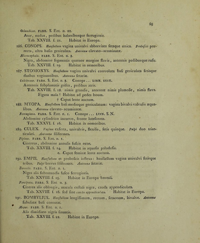 Qelandicus. FABR. S. Ellt. ll. 22. Ater, nudus, pedibus halteribusque ferrugineis. Tab. XXVIII. f. 21. Habitat in Europa. 186. CONOPS. Haufiellum vagina univalvi abbreviata fetaque unica. Probofcis por- recta, ultra bafin geniculata. Antenna clavato - acuminatse. Microcepbala. FABR. S. Ent. n. 3. Nigra, abdomine fegmentis quatuor margine flavis, antennis pedibus que rufis. Tab. XXVIII. f. 19. Habitat in nemoribus. 187. STOMOXYS. Haziftellum vagina univalvi convoluta bafi geniculata fetisque duabus vaginantibus. Antenna fetariae. Calcitrans. FABH. S. Ent. 11.3. Conops ... LINN. SYST. Antennis fubplumatis grifea , pedibus atris. Tab. XXVIII. f. 18. nimis grandis, antennae nimis plumofae, nimis flava. Figura mala ! Habitat ad pedes boum, f Caput lente auctum. 188. MYOPA. Haufiellum bafi medioque geniculatum: vagina bivalvi valvulis sequa- libus. Antenna clavato - acuminatse. ferruginea. FABR. S. Ent. U. I. Conops ... LINN. S. N. Abdomine cylindrico incurvo, fronte lutefcente. Tab. XXXVI. f. 16. Habitat in nemoribus. 189. CULEX. Fagina ex ferta, univalvisflexilis, fetis quinque. Palpi duo triar- ticulati. Antenna filiformes. Pipiens. FABR. S. Ent. n. I. Cinereus, abdomine annulis fufcis octo. Tab.. XXVIII. f. 14, Habitat in aquofis paludofls. e. -Caput feminae lente auctum. 190. EMPIS. Haufiellum et probofcis inflexa: haufiellum vagina univalvi fetisque tribus. Palpi breves filiformes. Antenna fetarise. Borealis. FABR. S. Ent. n. I. Nigra alis fubrotundis fufco ferrugineis. Tab. XXVIII. f. 15. Habitat in Europa boreali. Forcipata. FABR. S. Ent. n. 3. Cinerea alis oblongis, macula coftali nigra, cauda appendiculata. Fab. XXVIII f. 16. fed fine cauda appendiculata. Habitat in Europa. 191. ROUBELIUS,. Haufiellum longiffimum, rectum, fetaceum, bivalve. Antenna fubulatte bafi connatae. Major. FABR. S. Ent. n. 1. Alis dimidiato nigris finuatis. Tab. XXVIII. f. 22. Habitat in Europa.