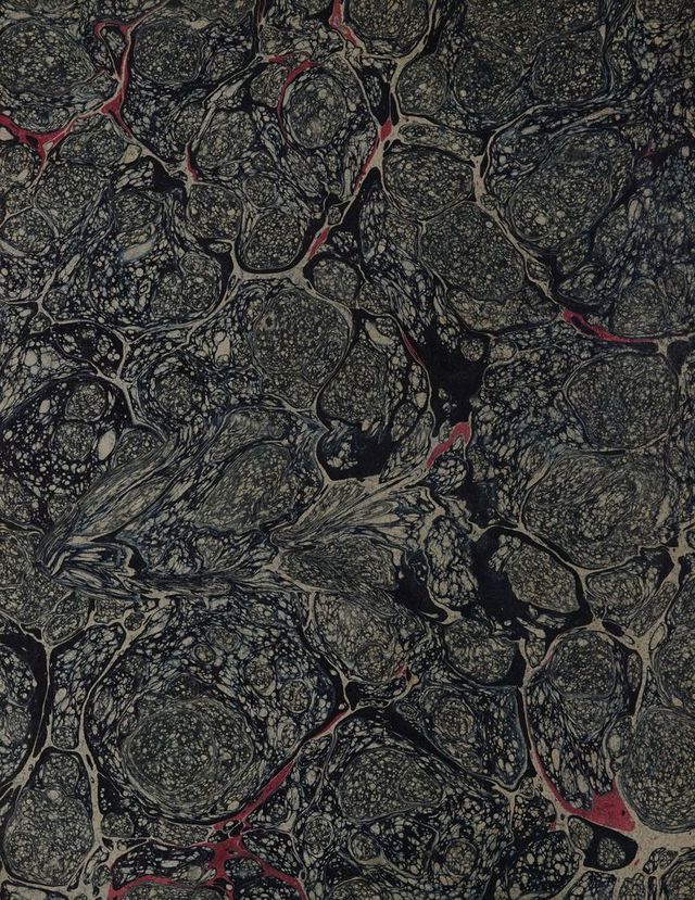 digitised image 2