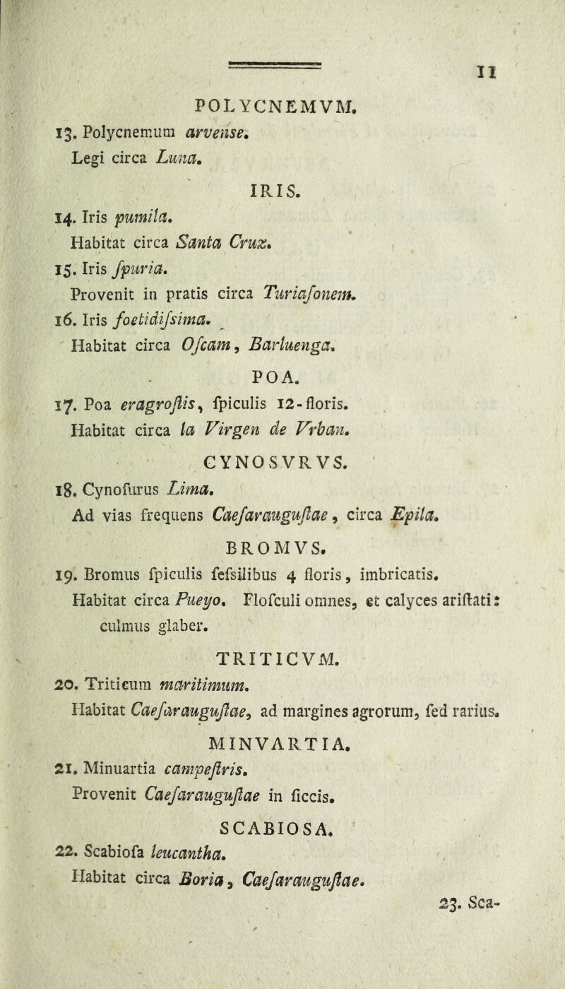 POLYCNEMVM. 13. Polycnemum arvense. Legi circa Luna. IRIS. 14. Iris pumila* Habitat circa Santa Cruz. 15. Iris /puria* Provenit in pratis circa Turiafonem* 16. Iris foetidifsima* Habitat circa Ofcam, Barluenga* POA. ly, Vod. eragrojlis^ fpiculis 12-floris. Habitat circa la Virgen de Vrban. / GYNOSVRVS. 18. Cynofiu-us Lima* ^ Ad vias frequens Caefaraugujlae, circa Epila. BROMVS. 19. Bromiis fpiculis fefsilibus 4 floris, imbricatis. Habitat circa Pueyo* Flofculi omnes, et calyces ariflati: culmus glaber. TRITICVM. 20. Triticum maritimum* Habitat Caefaraugujlae:, ad margines agrorum, fed rarius. MINVARTIA. 21. Minuartia campeflris* Provenit Caefaraugujlae in ficcis. SCABIOSA. ’ 22. Scabiofa leucantha. Habitat circa Boria^ Caefaraugujlae* 23. Sca-