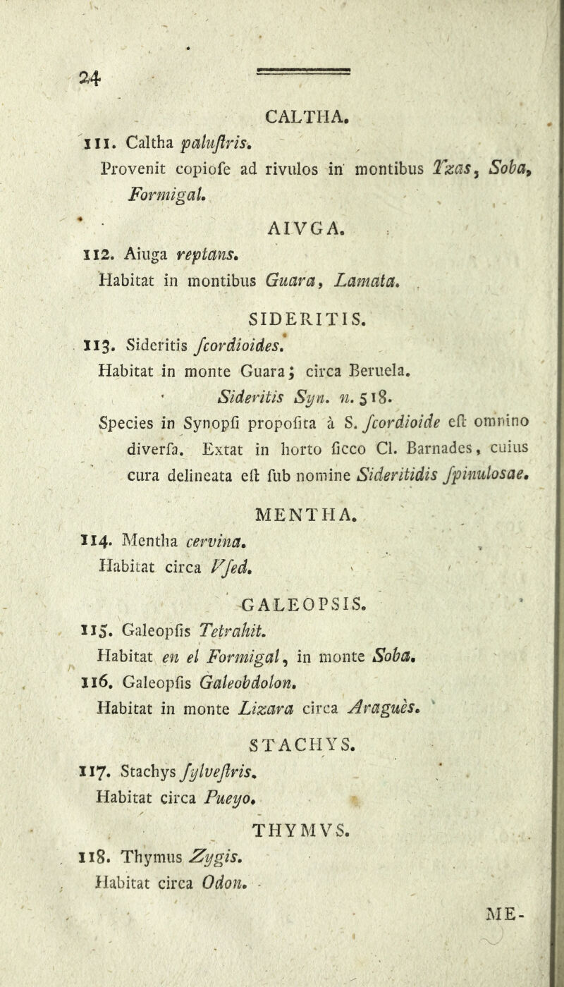 CALTHA. 111. Cdltha pahtflris. Provenit copiofe ad rivulos in montibus Tzas^ Soba^ FormigaL AIVGA. 112. Aiuga reptans» liabitat in montibus Guara^ Lamata. SIDERITIS. 113. Sideritis Jcordioides» Habitat in monte Guara; circa Beruela. Sideritis Syn. n. Species in Synopfi propofita a S. fcordioide ed omnino diverfa, Extat in horto ficco CL Barnades, cuius cura delineata eft fub nomine Sideritidis /pimilosae» MENTHA. 114. Mentha cervina» Habitat circa F/ed» GALEOPSIS. 115. Galeopfis Tetrahit. Habitat en el Formigal^ in monte Soba» 116. Galeopfis Galeobdolon» Habitat in monte Lizara circa Aragues» STACHYS. 117. JylveJlris^ Habitat circa Pueyo» THYMVS. 118. Zygis» Habitat circa Odon» - ME-