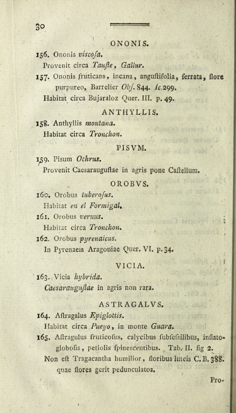 ONONIS. 156. 0nonis viscoja. Provenit circa Taufte ^ Gallur. 157. Ononis fruticans, incana, anguftifolia, ferrata, flore purpureo, Barrelier ObJ. 844. Yc.299, Habitat circa Bujaraloz Qiier. III. p. 49. ANTHYLLIS. 158. Anthyllis montana^ Habitat circa Tronchon. PISVM. 1^9. Pisum Ochrus. Provenit Caesaraugufiae in agris pone Caftdlumo OROBVS. 160. Orobiis tuberofus. Habitat en el FormigaU 161. Orobus vernus. Habitat circa Tronchon. 162. Orobus Pyrenaicus, In Pyrenaeis Aragoiiiae Quer. VI. p. 34« VICIA. ' 16'^, yidz hybrida. Caesaraiigufiae in agris non rara. ASTPvAGALVS. 164, Aflragalus Epiglottis. Habitat circa Pueyo ^ in monte Guara. 165. Affragulus fruticorus, calycibus fubfcfsilibus, inflato» globofis, petiolis fpinesCentibus. Tab. II. fig 2. Non eft Tragacantha humilior, floribus luteis C.B. 388. quae flores gerit pedunculatos. ^ Pro- I V