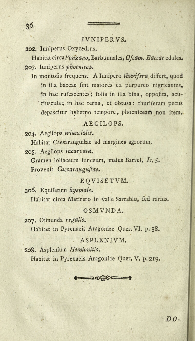 IVNIPERVS. 202. luniperus Oxycedrus. Habitat circaPow2;a;^o, Barbunnales, Ofcanu Baccae edules. 203. luniperus fhoenicea. In moiitofis frequens. A lunipero thurifera dilfert, quod in illa baccae fint maiores ex purpureo nigricantes, 'in hac rufescentes: folia in illa bina, oppofita, acu- 'tiuscula; in hac terna, et obtusa: thuriferam pecus depascitur hyberno tempore, phoeniceaifi non item. AEGILOPS. 204. Aegilops triuncialis. Habitat Caesarauguftae ad margines agrorum. 205. Aegilops incurvata. Gramen loliaceum iunceum, maius Barrel, /r. 5* Provenit Caesarauguftae. EQVISETVM. 206. Equifetum hyemale. , Habitat circa Matirero in valle Sarrablo, fed rarius. OSMVNDA. 207. Ofmunda regalis. Habitat in Pyrenaeis Aragoniae Quer. VI. p. 3S. ^ ASPLENIVM. 208. Asplenium Hemionitis. Habitat in Pyrenaeis Aragoniae Quer. V. p.219. . DO-