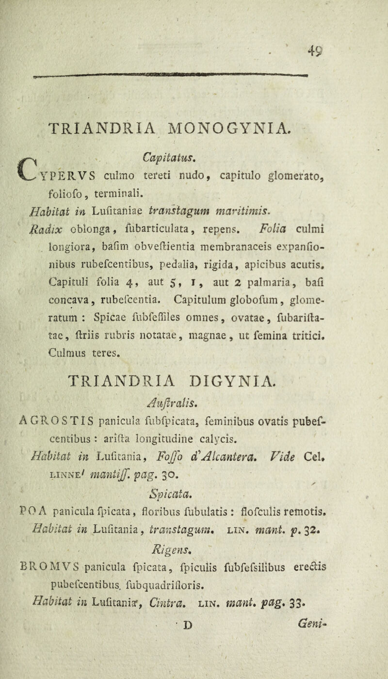 49 TRIANDRIA MONOGYNIA, C Capitatus. YPERVS culmo tereti nudo, capitulo glomerato, foliofo, terminali. Habitat in Lufitatiiae traniiagum maritimis, fiadix oblonga, fubarticiilata, repen^^;. Folia culmi longiora, bafini obvenientia membranaceis expanfio- nibus riibefcentibiis, pedalia, rigida, apicibus acutis. Capituli folia 4, aut 5, i, aut 2 palmaria, bafi concava, riibefcentia. Capitulum globofum, glome- ratum : Spicae fiibrelTiles omnes, ovatae, fubarilla- tac, nriis rubris notatae, magnae, ut femina tritici. Culmus teres. TRIANDRIA DIGYNIA. Aujlralis. AGROSTIS panicula fubfpicata, feminibus ovatis pubef- centibus : arifta longitudine calycis. Habitat in Lufitania, Fojfo di^Alcantera. Vide CeU linne' mantijf. pag. 30. Spicata. POA paniculafpicata, floribus fubulatis : flofculis remotis. Habitat in Lufltaiiia, transtagum. lin. mant. p. 32. Rigens. BPvOMVS panicula fpicata, fpiculis fubfefsilibus ere(fl:is pubefcentibus. fubqiiadrifloris. Habitat in Liifitanicf, Cintra. lin. mant. pag. 33. D Geni^