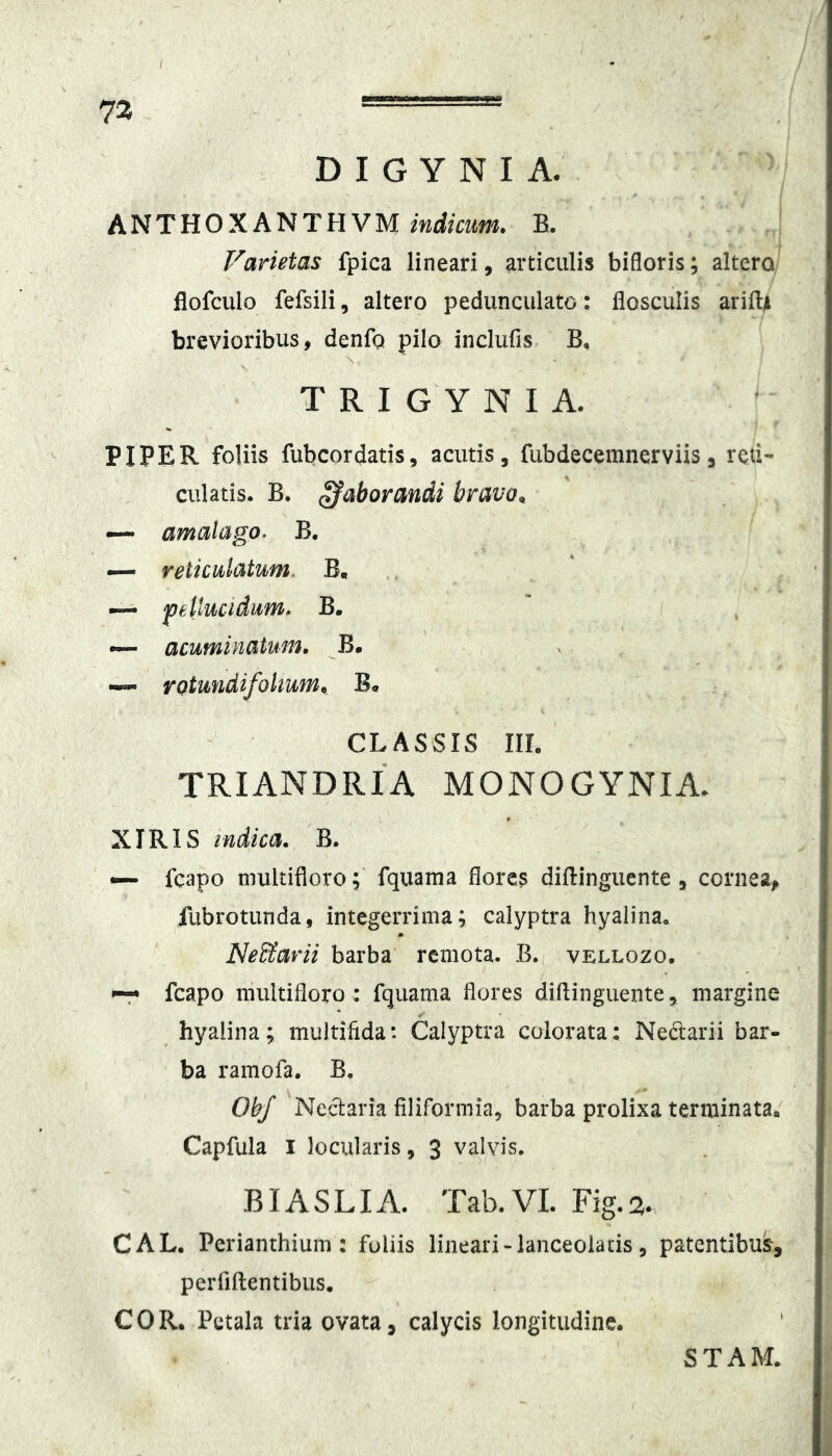 72 ■ D I G Y N I A. ANTHOXANTHVM indicum. B. Varietas fpica lineari, articulis bifloris; altera flofculo fefsili, altero pedunculato: flosculis ariftjt brevioribus, denfQ pilo inclufis B, T R I G Y N I A. PIPER foliis fubcordatis, acutis, fubdecemnerviis, reti- culatis. B. ^aborandi bravo. — amalago, B. — reticulatum, B. ~ 'pellucidum. B. — acuminatum, B. ~ rotundifohum. CLASSIS IIL TRIANDRIA MONOGYNIA. XIRIS indica. B. •— fcapo multifloro;' fquama flores diftinguente, cornea, fubrotunda, integerrima; calyptra hyalina. NeSlatii barba remota. B., vellozo. ~ fcapo multifloro : fquama flores diflinguente, margine hyalina; multifida: Calyptra colorata: Neclarii bar- ba ramofa. B, ObJ Nedaria filiformia, barba prolixa terminata» Capfula I locularis, 3 valvis, BIASLIA. Tab.VI. Fig.a* CAL. Perianthium : foliis lineari - lanceolaus, patentibus, perfiftentibus. COR. Petala tria ovata, calycis longitudine. ' STAM.