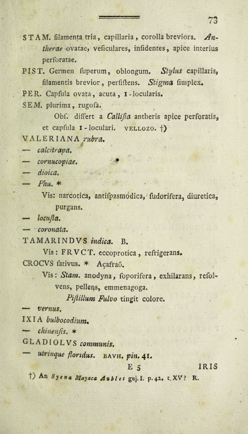 i o STAM. filamenta tria, capillaria, corolla breviora. An» therae ovatae, veficulares, infidentes, apice interius perforatae. PIST. Germen fuperum, oblongum. Stykis capillaris, filamentis brevior, peiTiflens. Stigma fimplex, PER. Capfiila ovata, acuta, i-locularis. SEM. plurima, rugofa. Obf. differt a Callifia antheris apice perforatis, et capfula i-loculari. vellozo. f) VALERIANA rubra, calcitrapa, — cornucopiae. Violea. — Phu. * Vis: narcotica, antifpasmodica, fudorifera, diuretica, purgans. — 'Coronata. > locujia. TAMARINDVS indica. B. Vis: FRVCT. cccoprotica, refrigerans. CROCVS fativus. * Acafrao. Vis: Stam. anodyna, foporifera, exhilarans, refoI« vens, pellens, emmenagoga. PifiiUum Fulvo tingit colore. — vernus, IXIA bulbocodium. chinenfis, * GLADIOLVS communis. utrinque floridus, bavh, pin. 41. E 5 IRIS t) An Syena Mayaca Auhlet guj.I. p.41^ t.XV? R.