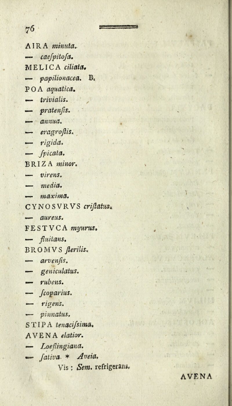 AIR A minuta^^ — caejfitofa, MELICA ciliata. — papilionacea. B, P O A aquatica» ~ trivialis. — pratenfts. ~ annua. — eragrojlis. ^ rigida» *— /picata, BRIZ A minor» — media, ~ maxima, CYNOSVRVS criJlatuSi ^ aureus, FESTVCA myurus. — fluitans, BROMVS /erilis» — arvenfis, ■— geniculatus, *«— rubens, — fcoparius, —■ ridens, o pinnatus, STIPA tenaci/sima, AVENA elatior. — Loeflingiana. •— Jativa. * Aveia. Vis: iSVm. refrigerans.