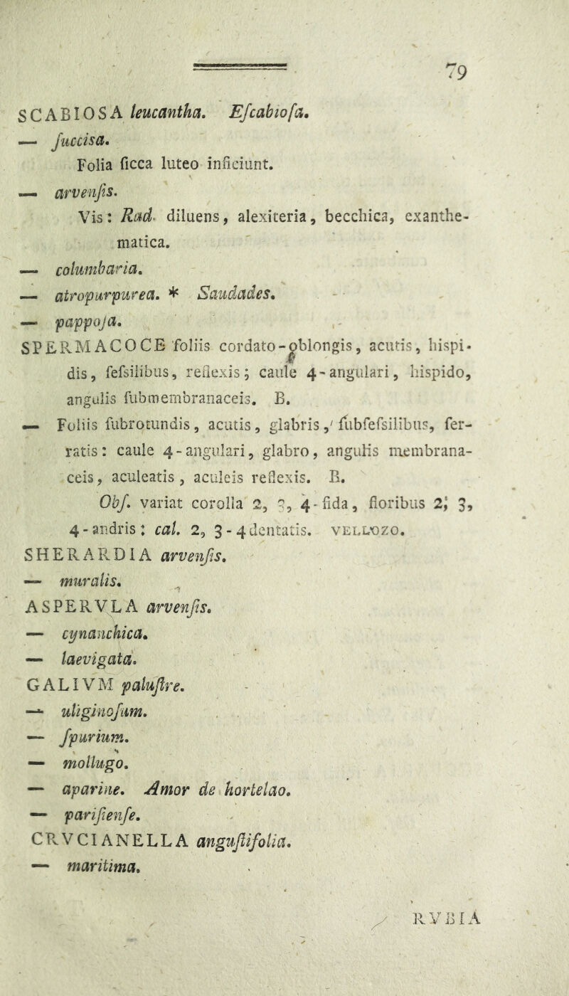 SCABIOSA leucantha. Efcabiofa. — Juccisa. Folia ficca luteo inficiunt. — arvenjis. Vis: Ri^d, diluens, alexiteria, becchica, exanthe- matica. — columbaria. — atrof uTfurea. * Saudades. — pappoja. SPEPvMACOCE foliis cordato-^blongis, acutis, hispi- dis, refsilibiis, reflexis; caule 4-angulari, hispido, angulis fubmembraiiaceis. B. — Foliis fubrotundis, acatis, glabrisfLibfersilibu?, fer- ratis: caule 4-angulari5 glabro, anguMs membrana- ceis, aculeatis, aculeis redexis. B. Obf. variat corolla 2, 4-iid^^ floribus 2, 3, 4 - andris: caL 2, 3 - 4 dentatis, vell-ozo. SHERAPvDiA avvenjts. —' muralis. ASPERVLA arvenfis. — cynanchica. — laevigatd. GALIVM^palufire. —*• uliginojim. . , — Jp urium. — motlugo. — apariiie. Amor de hortelao. — parijienfe. . C R V CIA N E L L A angupfoUa. — maritima. y ' R V ]] IA