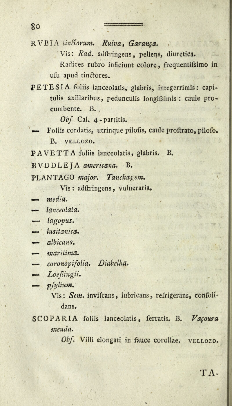 RVBIA tinUomm» Ruiva^ Garanga* Vis\ Rad, addringens, pellens, diuretica. Radices rubro inficiunt colore, frequentifsimo in ufu apud tindores. PETES IA foliis lanceolatis, glabris, integerrimis: capi- tulis axillaribus, pedunculis longifsimis : caule pro- ciiinbente. B. . ObJ CaL 4-partitis. Foliis cordatis, utrinque pilolis, caule proftrato, pilofo* B. VELLOZO. PAVETTA foliis lanceolatis, glabris. B. BVDDLEJA americana. B. PLANTAGO major. Tanchagem. Vis: adftringens, vulneraria. «i— media, ^ lanceolata^ ~ lagopus. —' lusitanica. albicans. «p— maritima. — cor onopi folia. Diabelha^ — Loeflingii. — pfylium. Vis: iSm. invifcans, lubricans, refrigerans, confoli- dans. SCOPARIA foliis lanceolatis, ferratis. B. Vagoura menda.' Ohf. Villi elongati in fauce corollae, vellozo. TA-