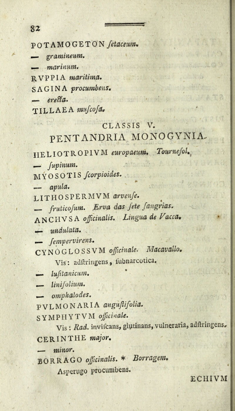 POTAMOGETON /etaceum. gramineum. -marinum. R V P PIA maritima. SAGINA procumbens, — ereSa* TH^LAEA mujcofat CLASSIS V. PENTANDRIA MONOGYNIA. IIELIOTROPIVM europaeum. TourneJoU Jupinum. myosotis Jcorpioides. *> I— apula. LITHOSPERMVM arvenfe. — fruticofum. Mrva das fete fangrias. A N C Ii V S A officinalis. Lingua de Vacca^ mmrn undulata. •— Jempervirens. CYNOGLOSSVM offtcincile> MdCMUllo, Vis : adftririgens, lubnarcotica. ^ lufitanicum, — linifoliutn. oniphctlodes. PVLMONARIA mguflifolia. SYMPHYTVM offtcinale. Vis: Rai. invilcans, glvitinans, vulneraria, adftringens, CERINTHE major, .— minor. BORRAGO officinalis. Borragem, Asperugo procumbens. ECHIVM