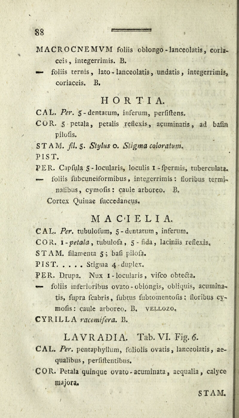 MACPvOCNEMVM foliis oblongo-lanceolatis, coria- ceis, integerrimis. B. — foliis ternis, lato^lanceolatis, undatis, integerrimis, coriaceis, B, H O R T I A. CAL. Per. $-dentatum, inferum, perfidens. COR. 5 - petala, petalis reflexis, acuminatis, ad bafin pilofis. ST AM. fil. $• Stylus o. Stigma coloratum», PIST, PER. Capfula g-locularis, loculis i^fpermis, tuberciilata,, foliis fubcuneiformibus, integerrimis: floribus termi-. . naiibiis, cymofis: caule arboreo, B, Cortex Quinae fuccedaneus. M A C‘I E L I A. CAL. Per. tubulofum, 5-dentatum, inferum, COR, i-petala^ tubulofa, 5-fida, laciniis reflexis^ STx\M. filamenta 5; bafi piiofa, PIST. . . , . Stigma 4-duplex. PER. Drupa. Nux i-locularis, vifco obte^fa. * foliis inferioribus ovato - oblongivS, obliquis, acumina'^ fis, fupra fcabris, fubtus fubtomentofis: floribus cy> mofis: caule arboreo. B, vellozo, CYRILLA racemifera. B, L A V R A DI A. Tab. VI.' Fig. 5. CAL. Per. pcntaphyllum, foliolis ovatis, lanceolatis, ae- qualibus, perfiflentibus,' COR. Petala quinque ovato-acuminata', aequalia, calyce majora. STAM«