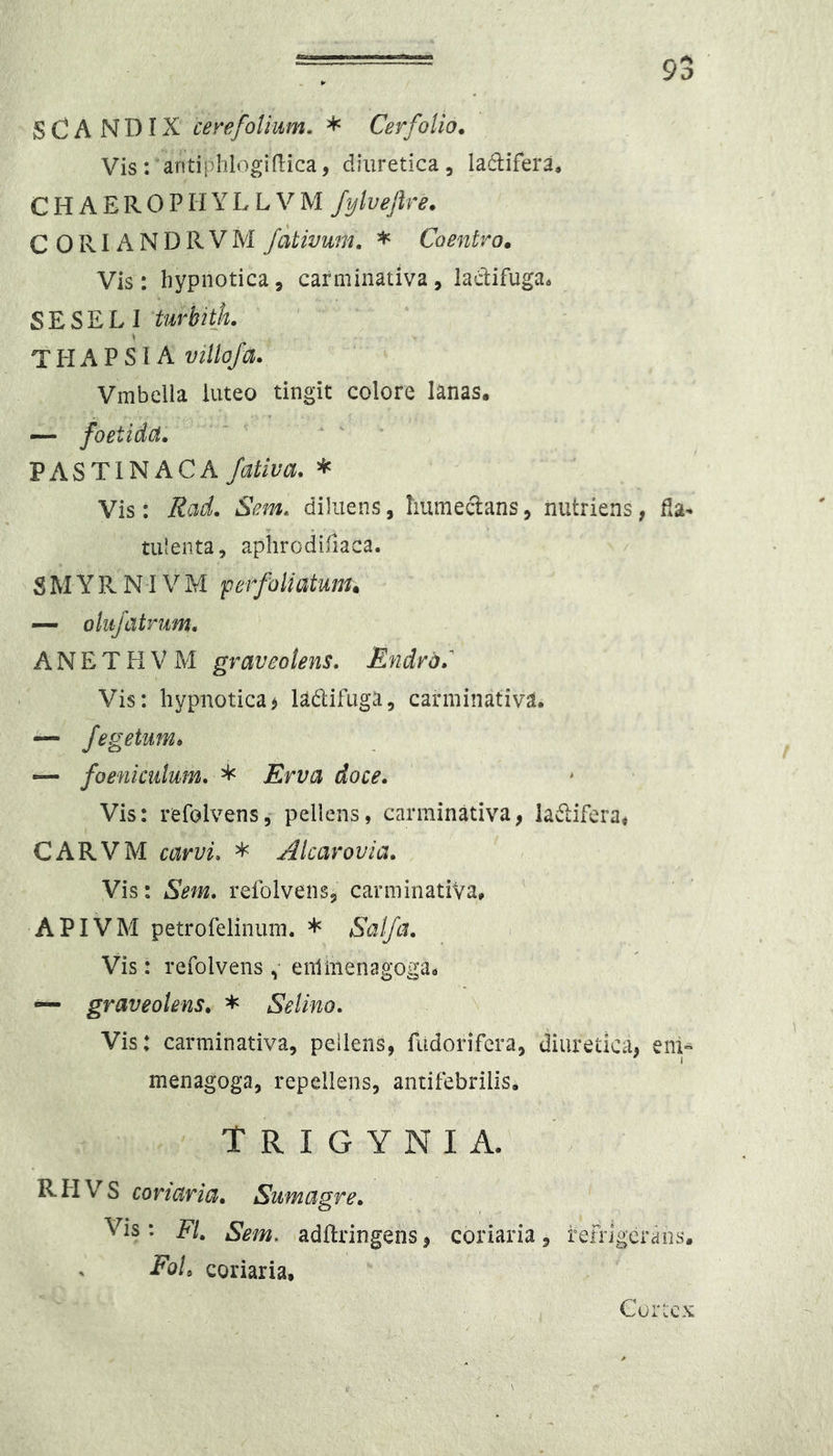 9S S C A N DIX cerefolium. * CerfoUo. Vis: antiphlogidica, diuretica, lactifera. C H A E R 0 PIIY L L V M Jylvejlre. CORIANDRVM Jativum. * Coentro, Vis: hypnotica, carminativa, lactifuga. SESELI turbitk THAPSI A villofa. Vmbelia luteo tingit colore lanas. — foetidet, . ^ PASTINACA fativa. * Vis: Rad. Sem, diluens, humeclans, nutriens, da- tulenta, aphrodifiaca. S M Y R NIV M per/hliatum. — olujatmm, A N E T H V M graveolens. Endra.^ Vis: hypnotica> ladifuga, carminativa. — fegetum» — foenkulum. * Erva doce. Vis: refolvens,* pellens, carminativa, ladlifera, CARVM carvi. * Alcarovia. Vis: Sem. refolvens^ carminativa. APIVM petrofelinum. * Salfa. Vis: refolvens enimenagoga. *— graveolens. * Selino. Vis: carminativa, peiiens, fudorifera, diuretica, eni'^ menagoga, repellens, antifebrilis. T R I G Y N I A. RHVS conaria. Sumagre. Vis: FI. Sem, adflringehs, coriaria, refrlgerdiis. FoL coriaria. Cuitex