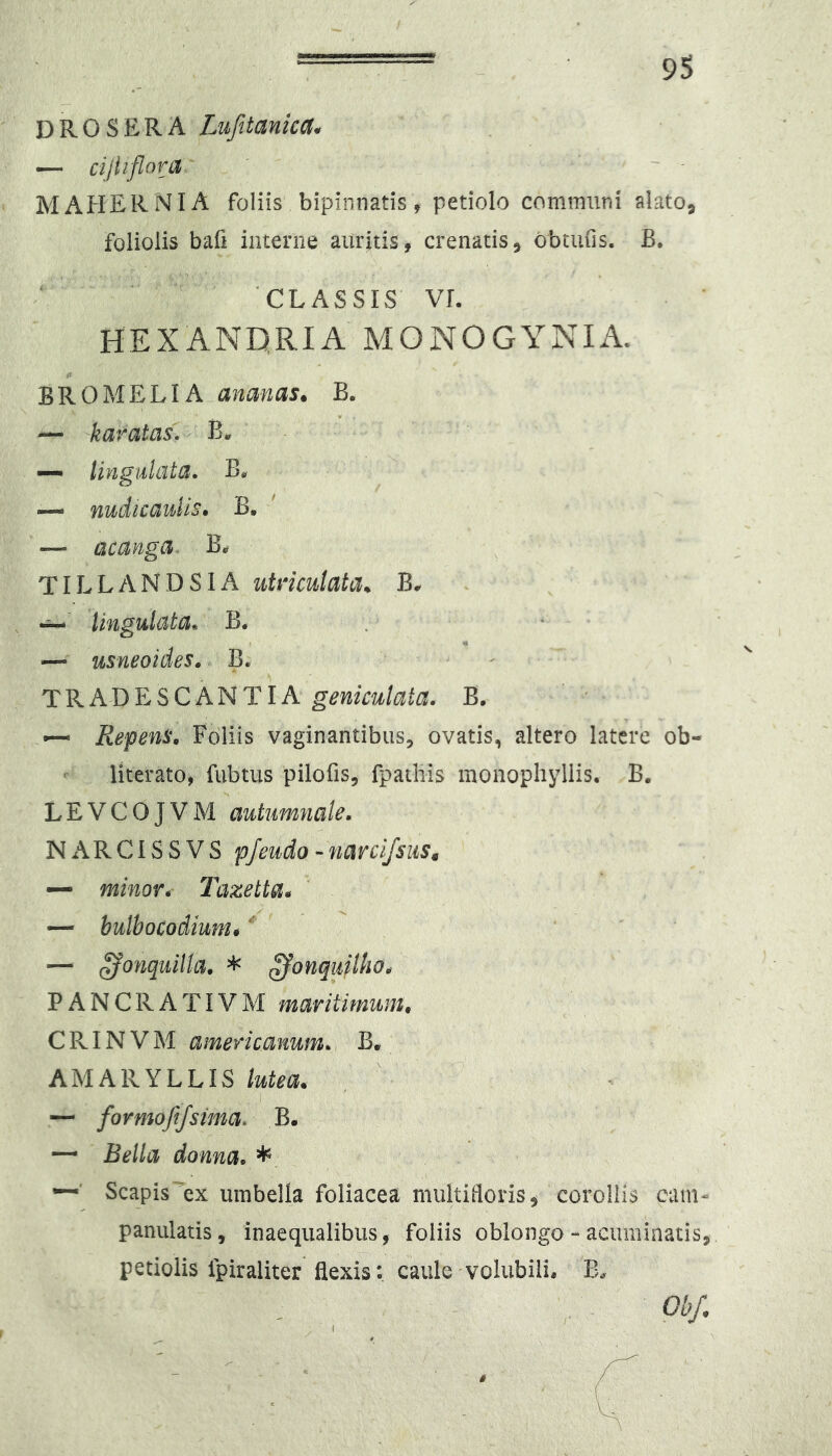 DROSERA Lufitanica. •— cijtiflora MAHERNIA foliis bipinnatis, petiolo communi alato, foliolis bafi interne aurjtis, crenatis, bbtulis. B. ‘CLASSIS vr. HEXANQRIA MONOGYNIA. BROMELIA ananas. B. — karatasM — lingulata. B* ~ nudicaulls, B. — acanga. B^ TIL L A N D S1A utriculata^ B* -i— lingulata. B. « — usneoides*^ B. ' TRADESCANTIA B. —* RepenS', Foliis vaginantibiis, ovatis, altero latere ob- ■- literato, fubtus pilofis, fpathis monopliyllis. B. LEVCOJVM autumnale. Nx\RClSSVS pjeudo -narciJsiiSt — minor.- Tazetta. — hulbocodium* — ^onqiiilla. * ^onquilliO. PANCRATIVM maritimum, CRINVM americmum. B. AMARYLLIS ^ — formofijsima. B. — Bella donna. * —' Scapis^ex umbella foliacea multifloris 5 corollis eam- panulatis, inaequalibus, foliis oblongo - acuminatis, petiolis fpiraliter flexis: caule volubili. E, Obf,
