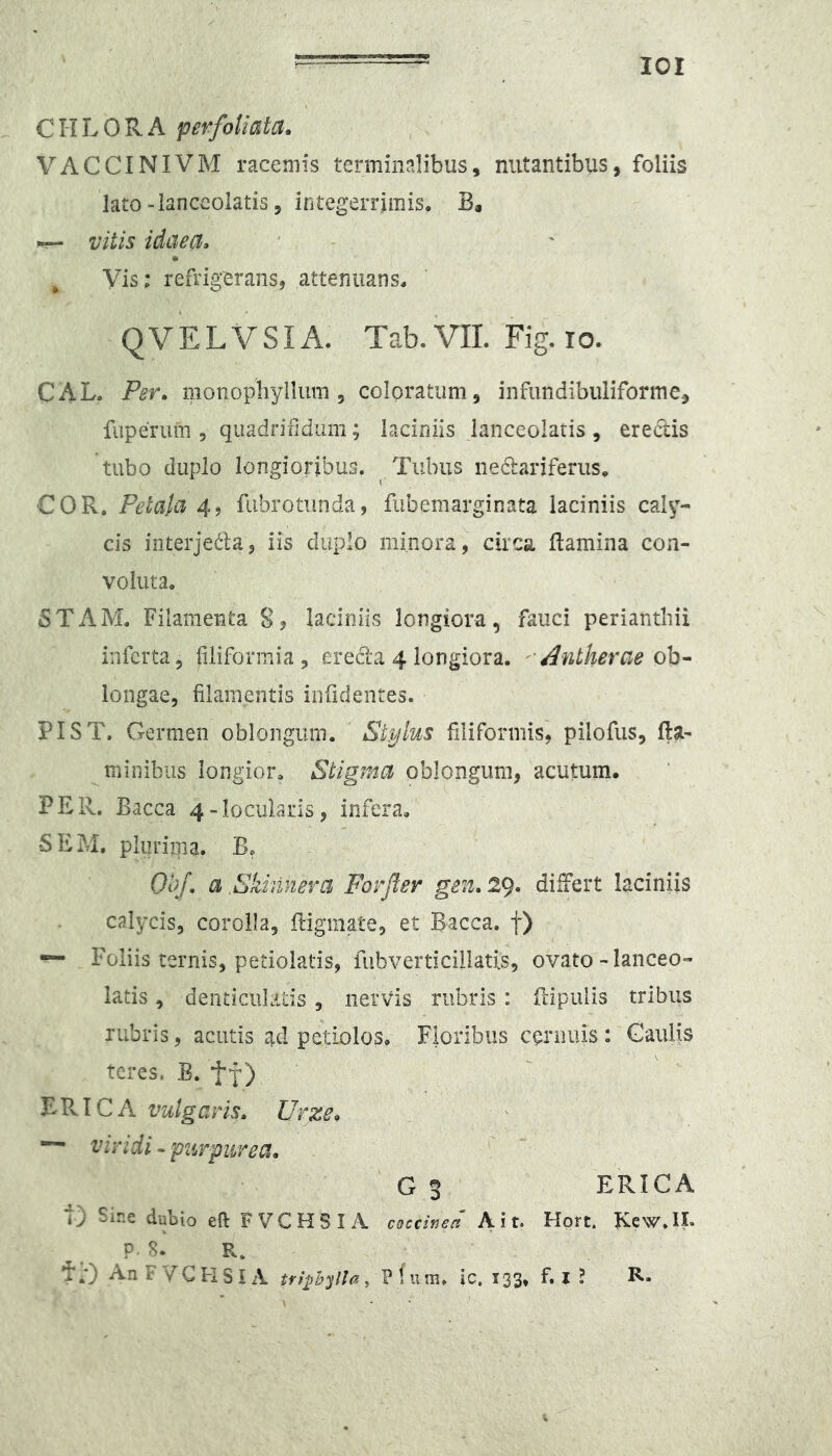 ICI CHLOR.A perfoUata. VACCINIVM racemis terminalibus, nutantibus, foliis lato -lanccolatis, integerrimis. B, vitis idaea, ^ Vis; refrigerans, attenuans. Q V E L V SI A. Tab. VIL Fig. io. CAL. Per^ monopliyllum , coloratum, infundibiiliforme, fiiperuin , quadrifidum; laciniis lanceolatis , erectis tubo duplo longioribus. Tubus neclariferus. COR. Petala 4, fiibrotimda, fubemarginata laciniis caly- cis interjeda, iis duplo minora, circa flamina con- voluta. 5TAM. Filamenta 85 laciniis longiora, fauci perianthii inferta, filiforiTiia , erecla 4 longiora. Antlierae ob- longae, filamentis infidentes. PIST. Germen oblongum. Sk^lus filiformis, pilofus, fla- minibus longior. Stigma oblongum, acutum. PER. Bacca 4-Iocularis, infera. SEM. plurima. B. (}/;/. a ,Skinnera Forjler gen. 29. differt laciniis calycis, corolla, ftigmate, et Bacca. f) — Foliis ternis, petiolatis, fubverticillatis, ovato - lanceo- latis, denticulatis, nervis rubris: Ripulis tribus rubris, acutis ad petiolos. Floribus cernuis : Gaulis teres. B. tt) ERICA vulgaris. Urze. — viridi ^purpurea. G 3 ERICA •f) Sine dubio eft F VCHSI A coccinea Ait. Hprt. Rcw.II. P. S. P.. ir) An F VG K s i A trijjhylla, P f u m. ic. 133. f. I ?